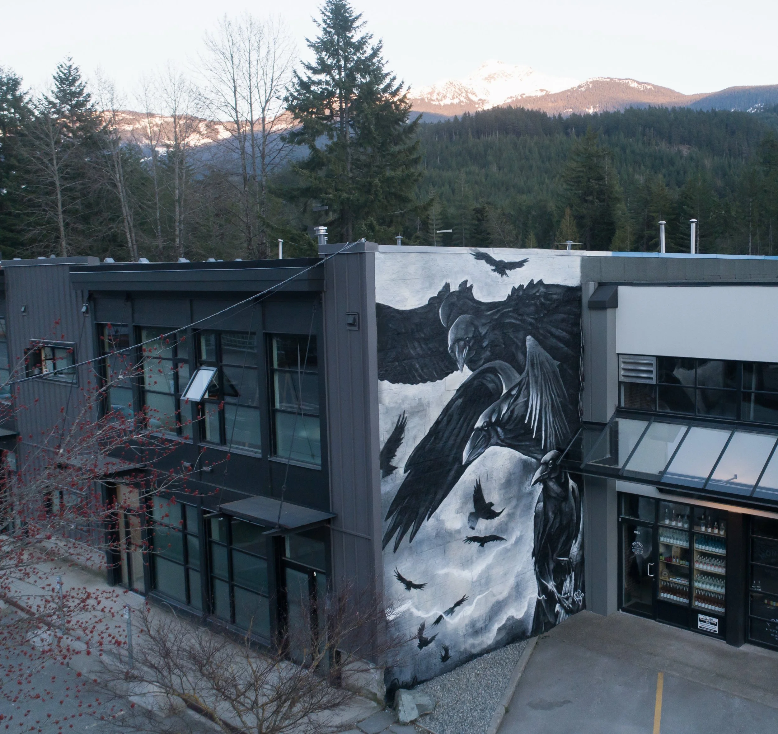 Murals