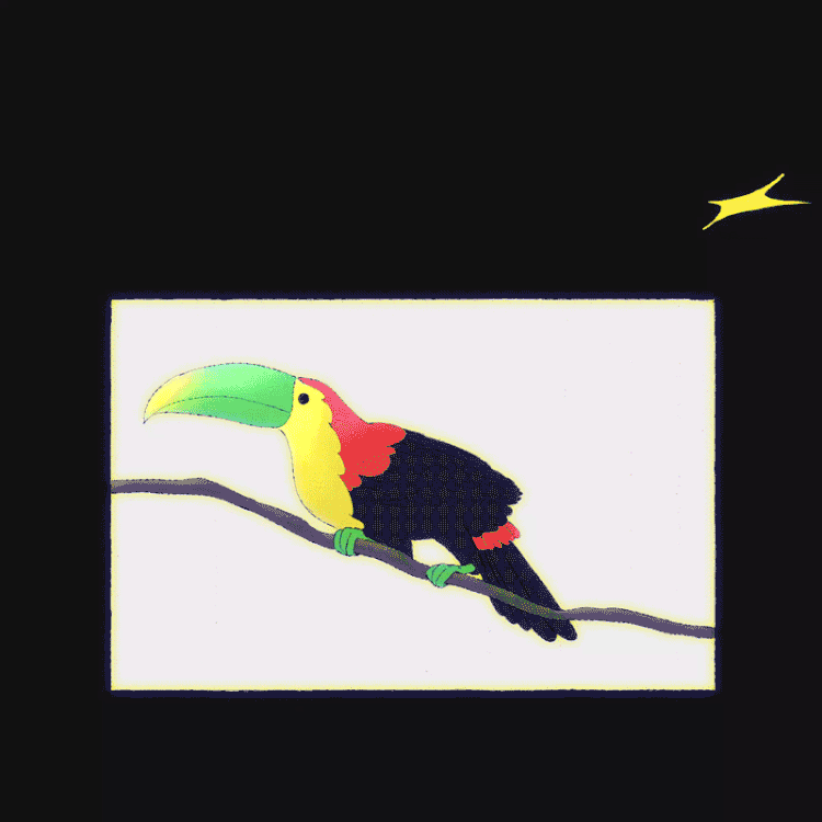 Main_Toucan.gif