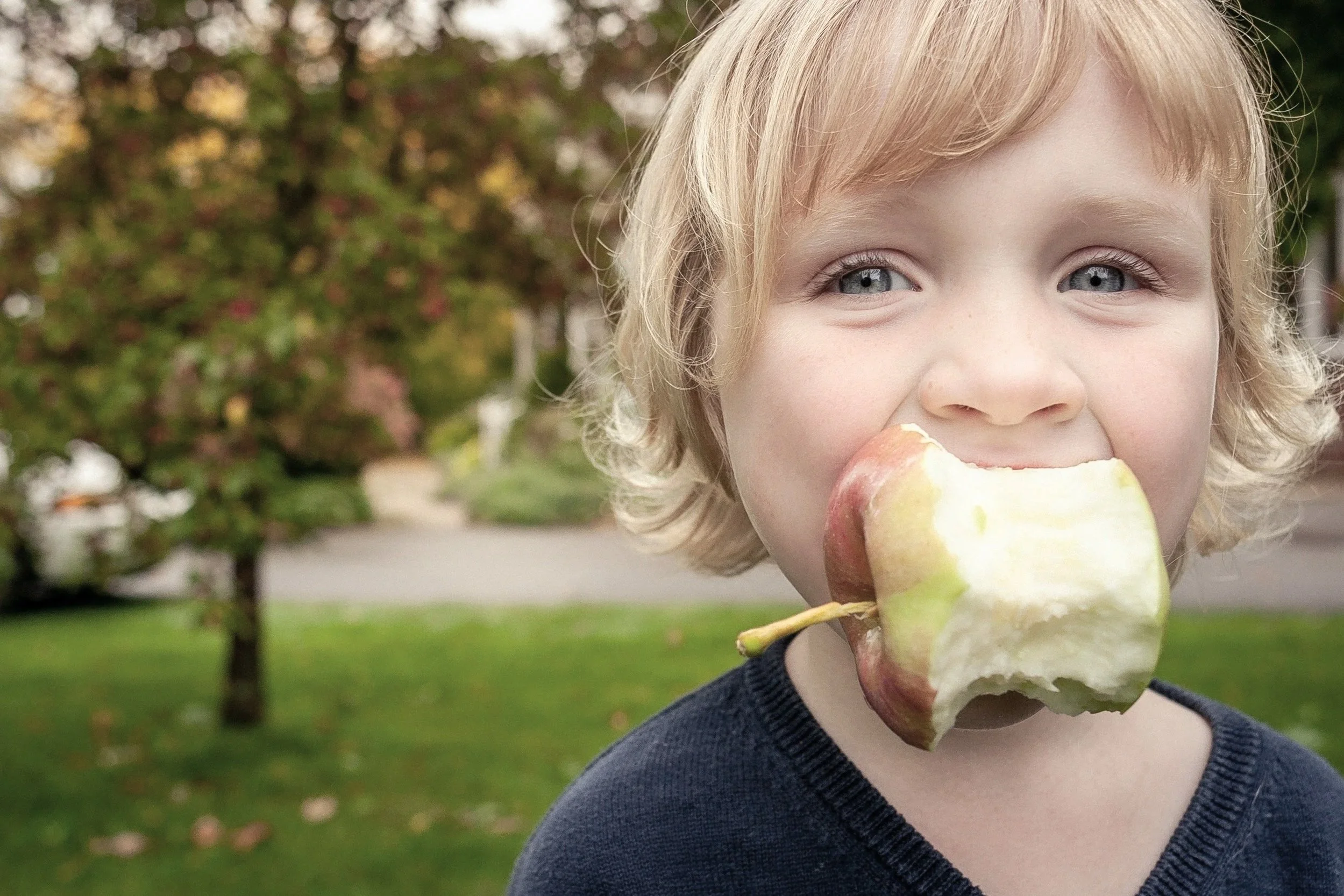 A young child with blonde hair and blue eyes eating a partially eaten apple outdoors in a park with blurred trees in the background.