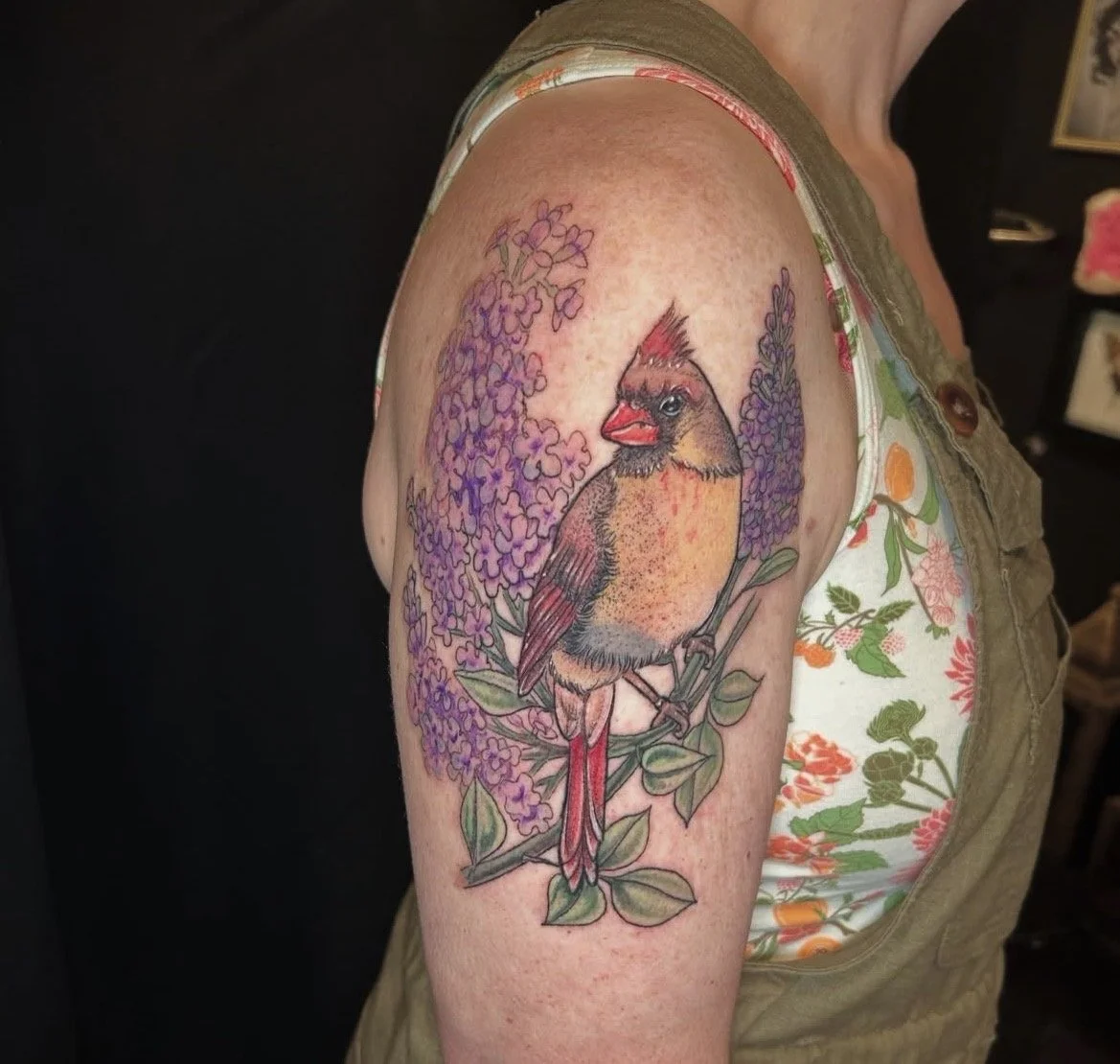 Colorful tattoo of a female cardinal bird perched on a branch with purple lilac flowers on the upper arm.