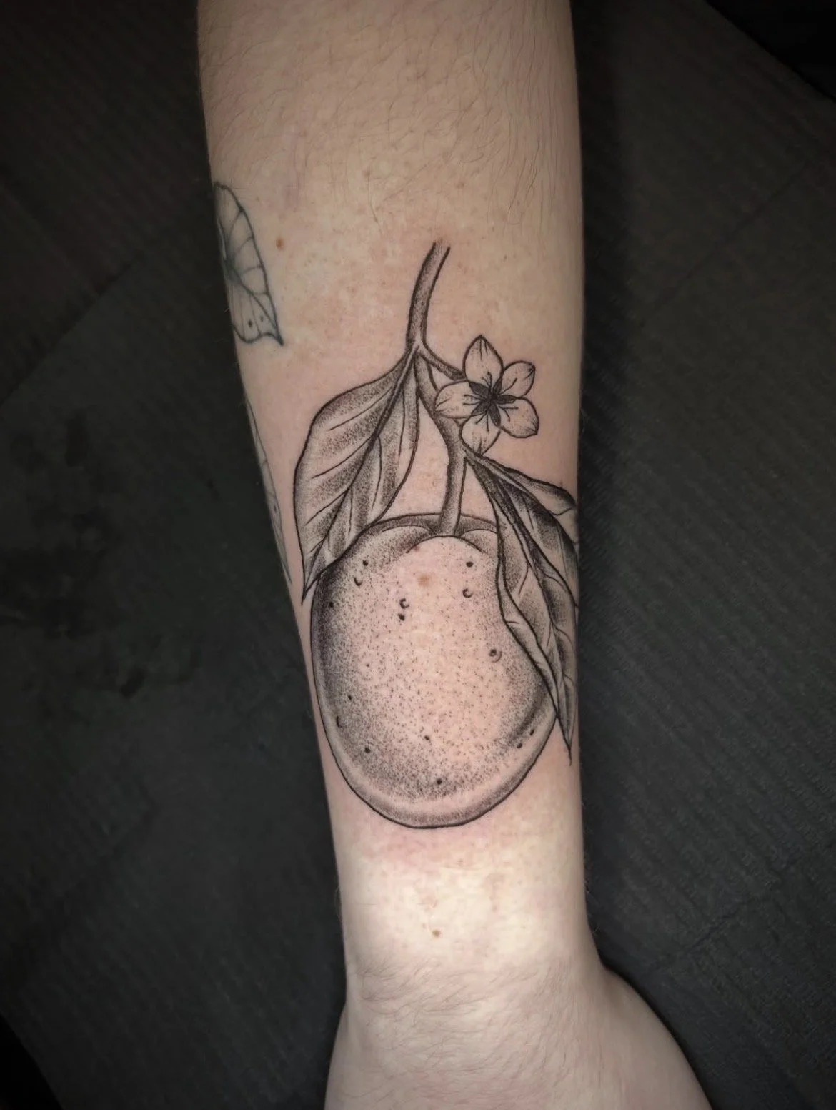 Tattoo of a lemon with detailed leaves and a small blossom on a person's forearm
