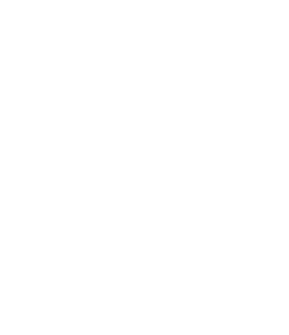 White Virasat Lion emblem