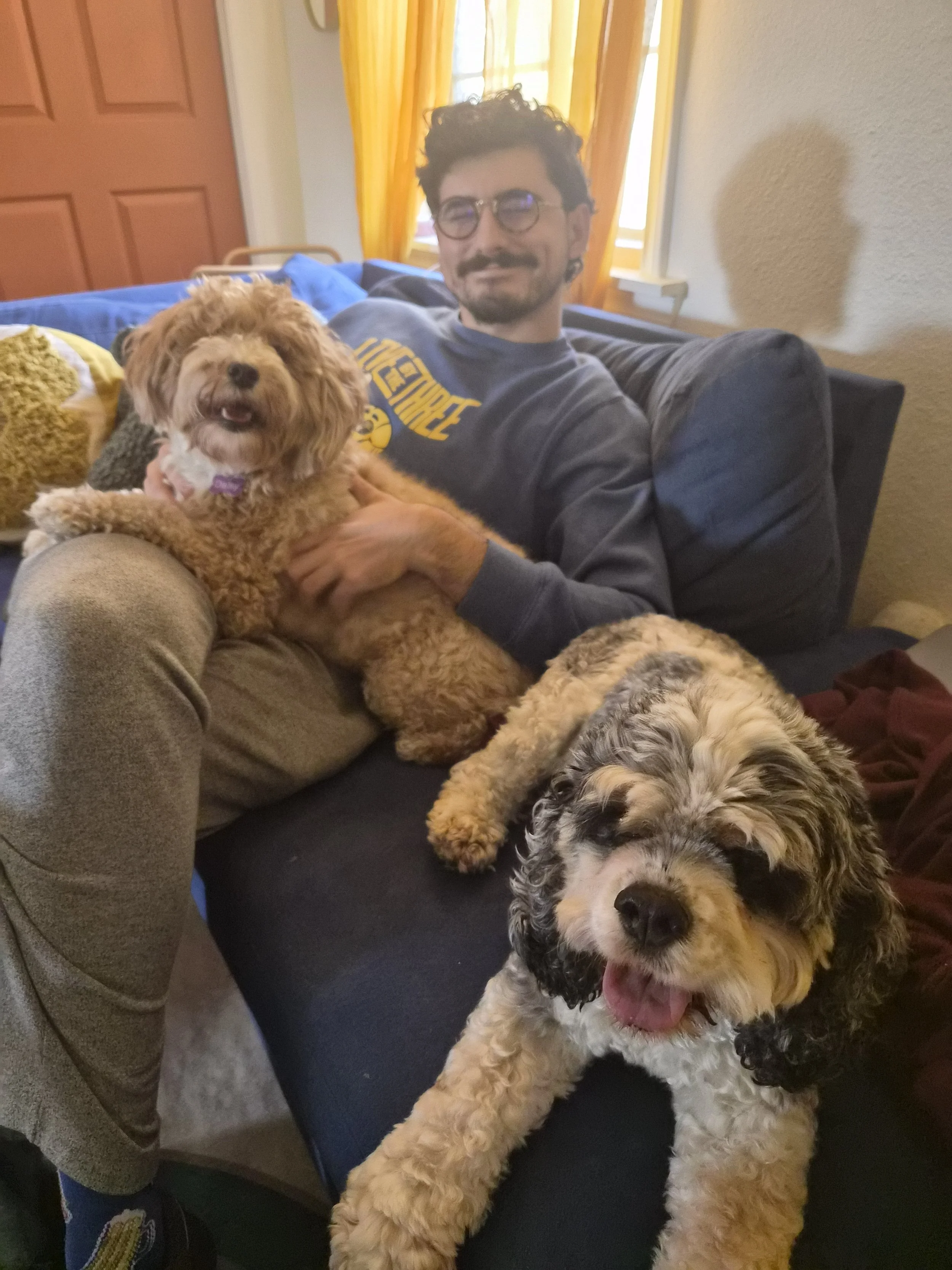 A man with glasses and a beard sitting on a couch, holding two fluffy dogs with curly fur. The room has yellow curtains and a window in the background.