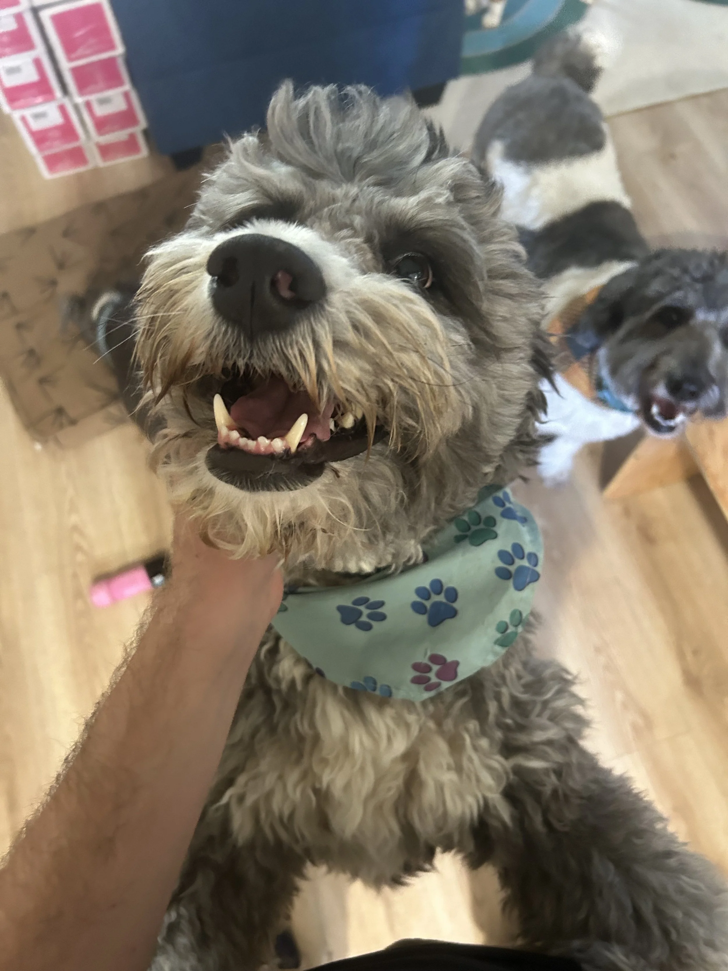 Drop-In Visits