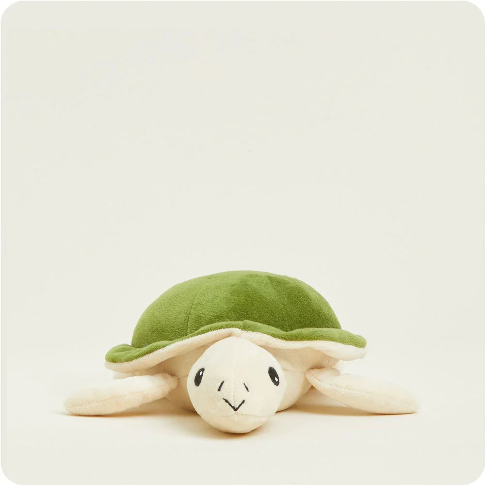 CPJ-TUR-1-Turtle-Junior-03-Crop.jpg.webp