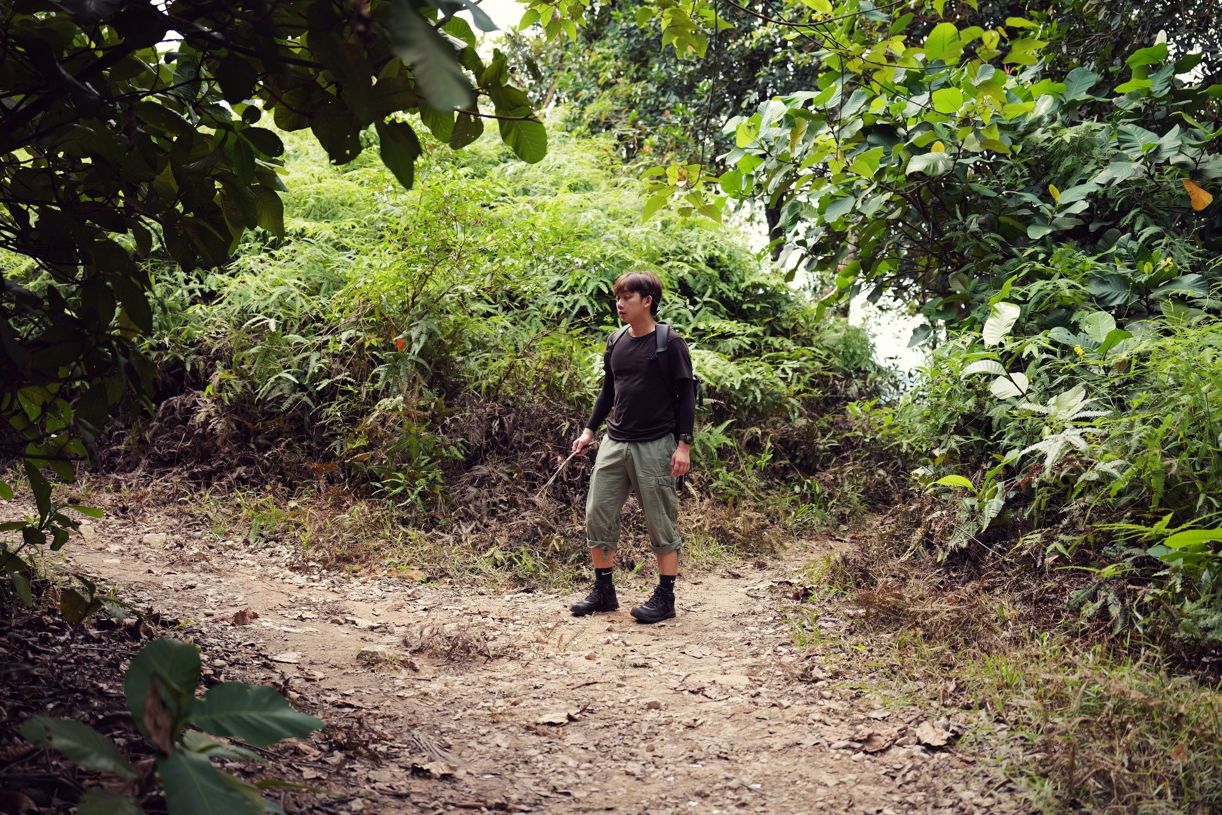 A hiker stands at a bend in a shaded forest path.