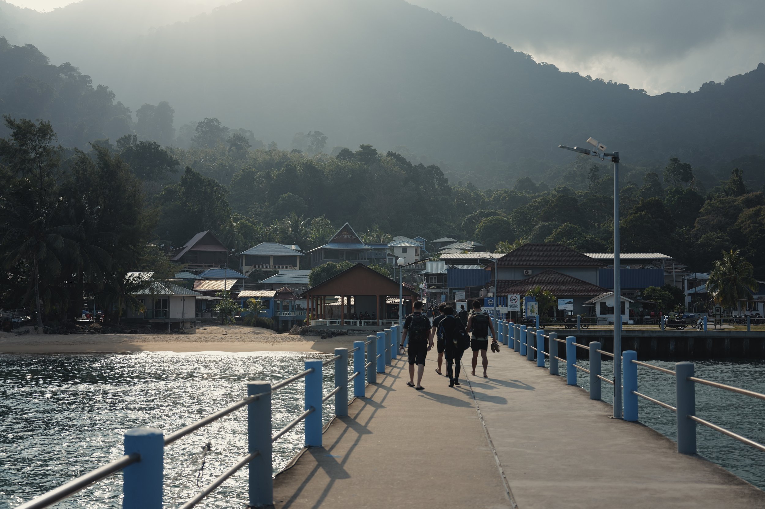 People walking along a waterfront pier with buildings and a forested mountain in the background, and a cloudy sky.