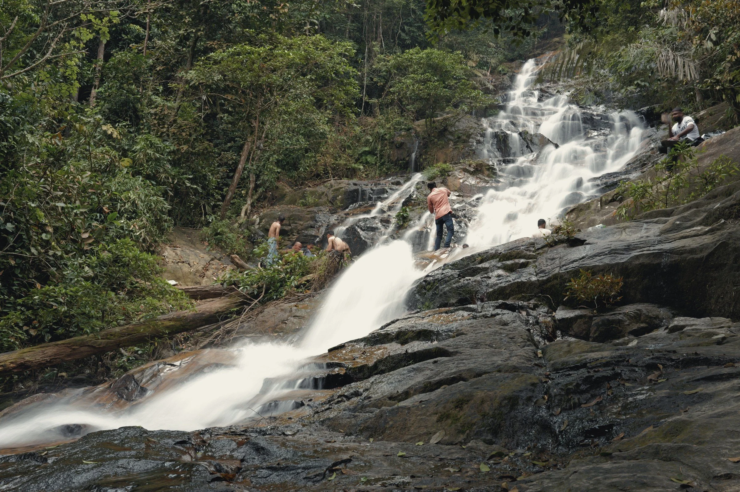 White water streams down dark sloping rock surrounded by forest.