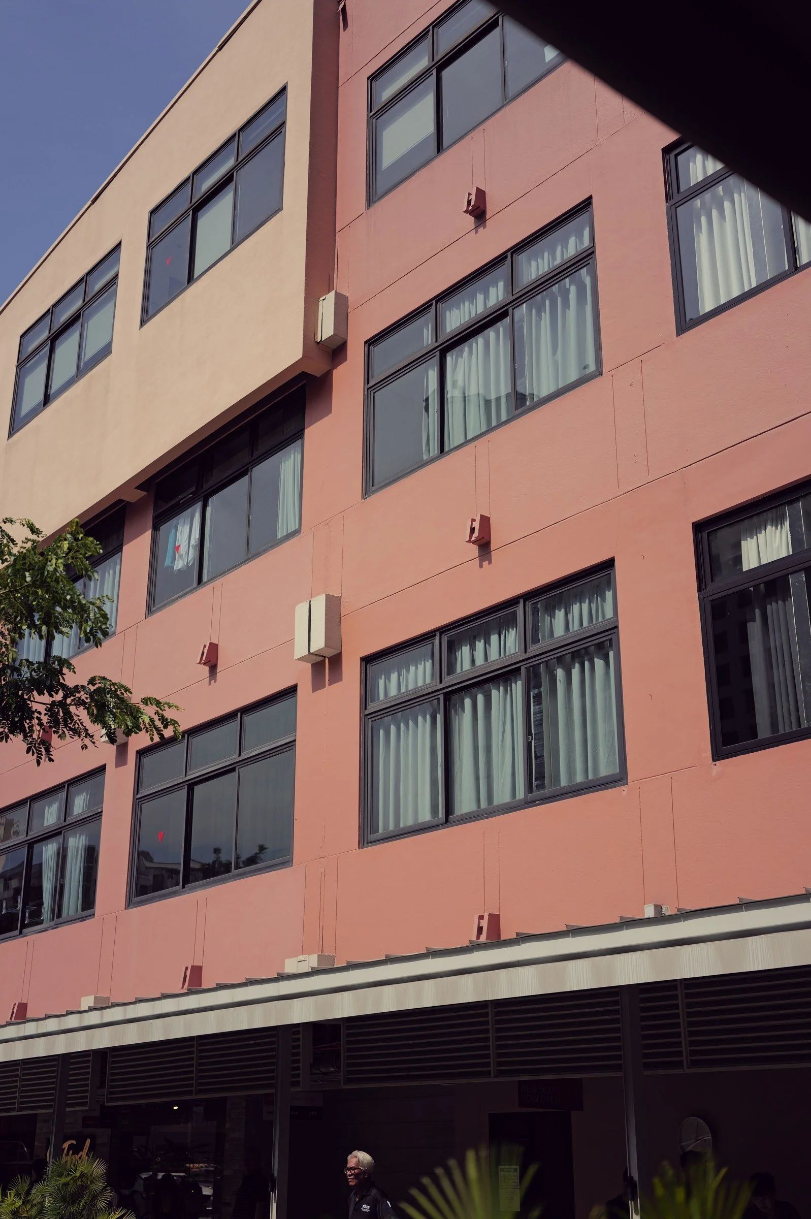Pink school facade and dark window frames at New Bahru on Kim Yam Road.