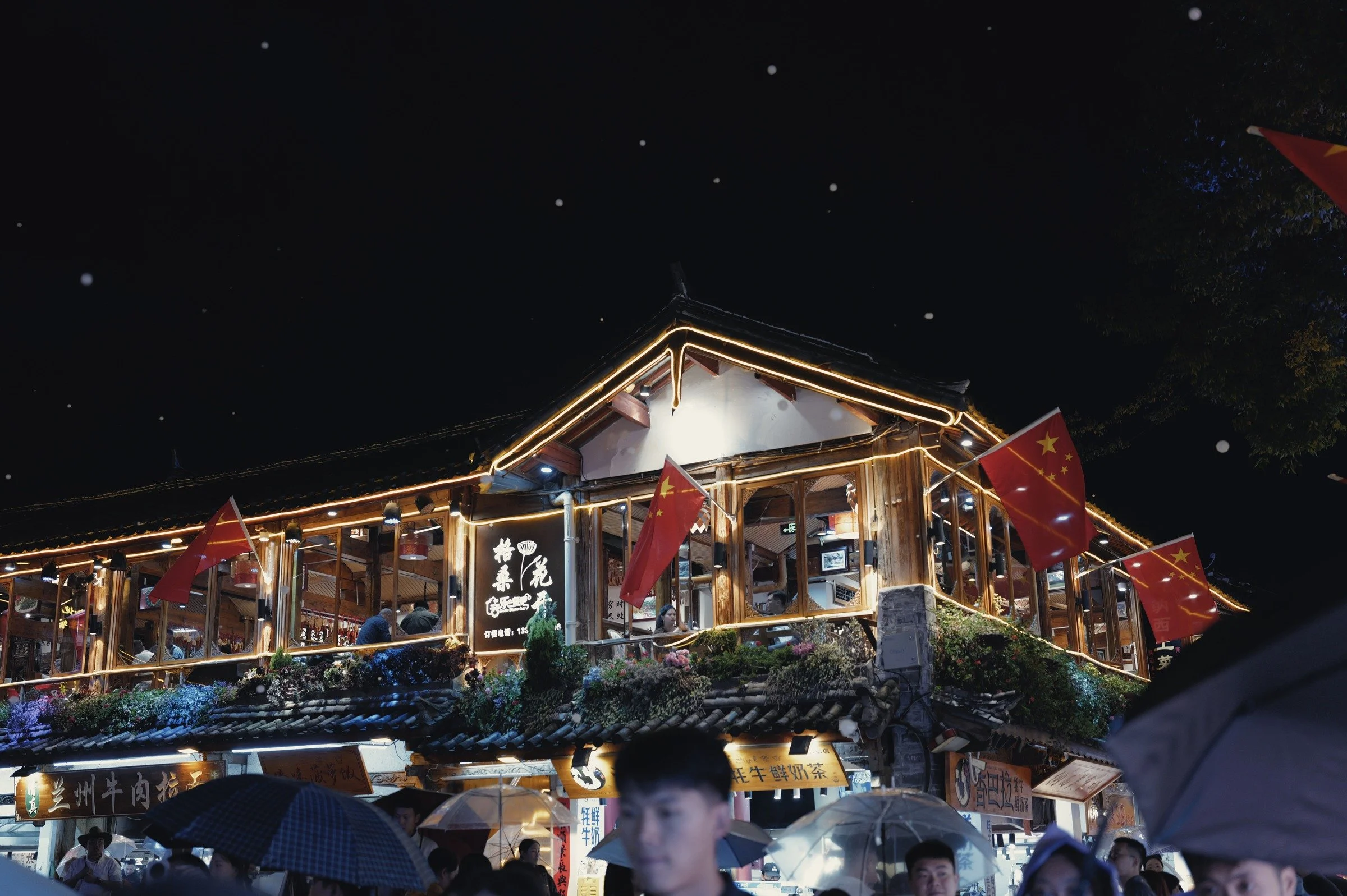 Along a Lijiang canal