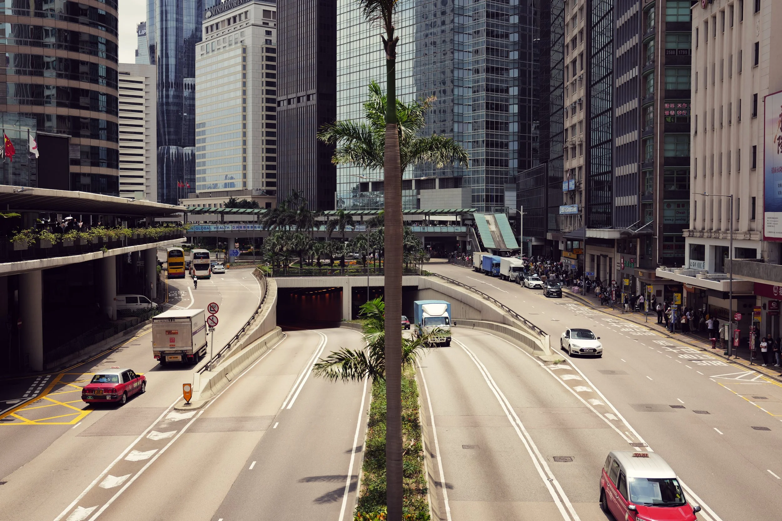 View of a busy city street with tall skyscrapers, a palm tree in the center, and vehicles including cars and trucks on the road. Pedestrians are seen on the sidewalk, and there are signs and billboards on buildings.