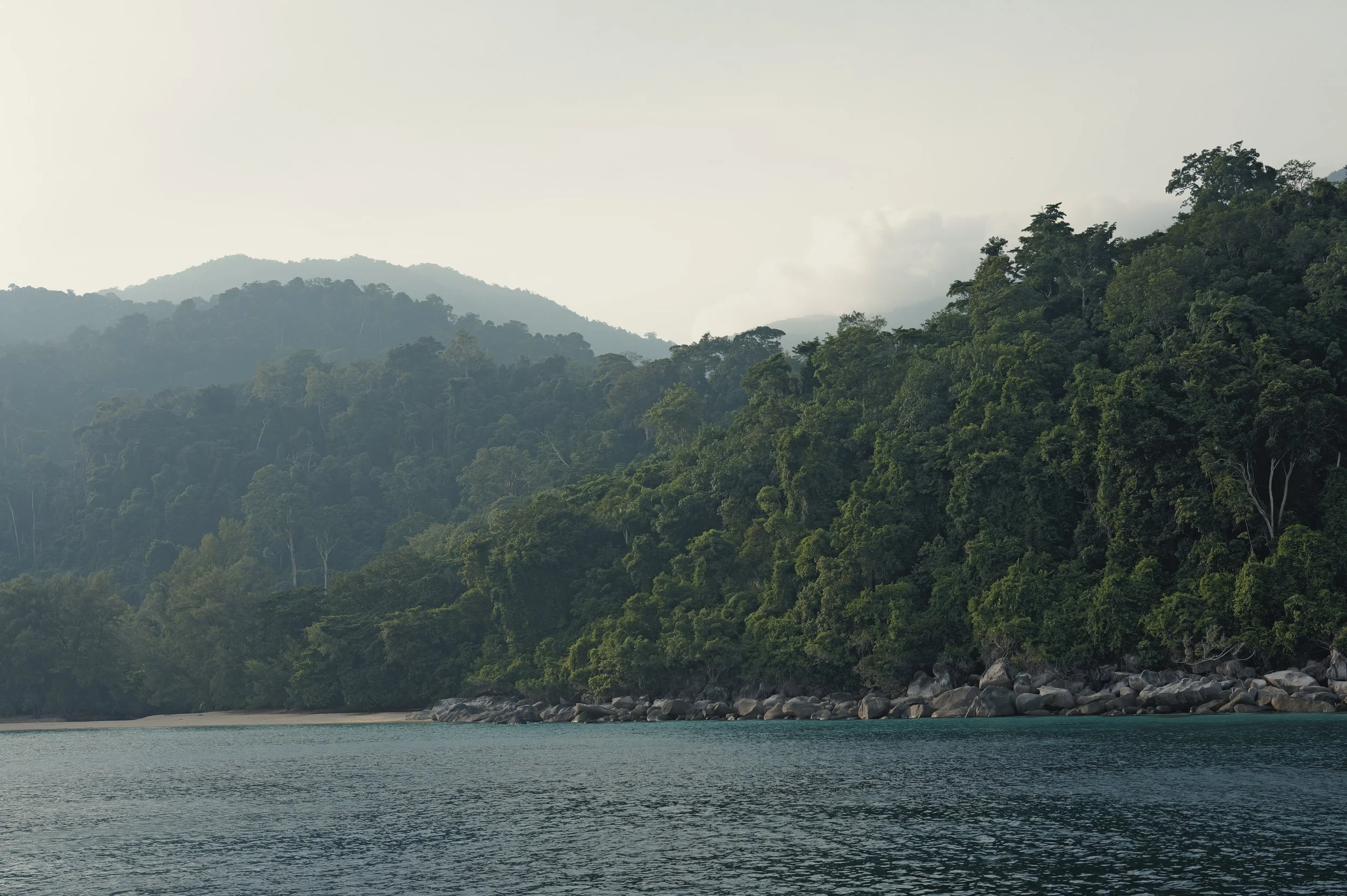 A scenic landscape of a mountain range covered with dense forest along a water body with a rocky shoreline under a cloudy sky.