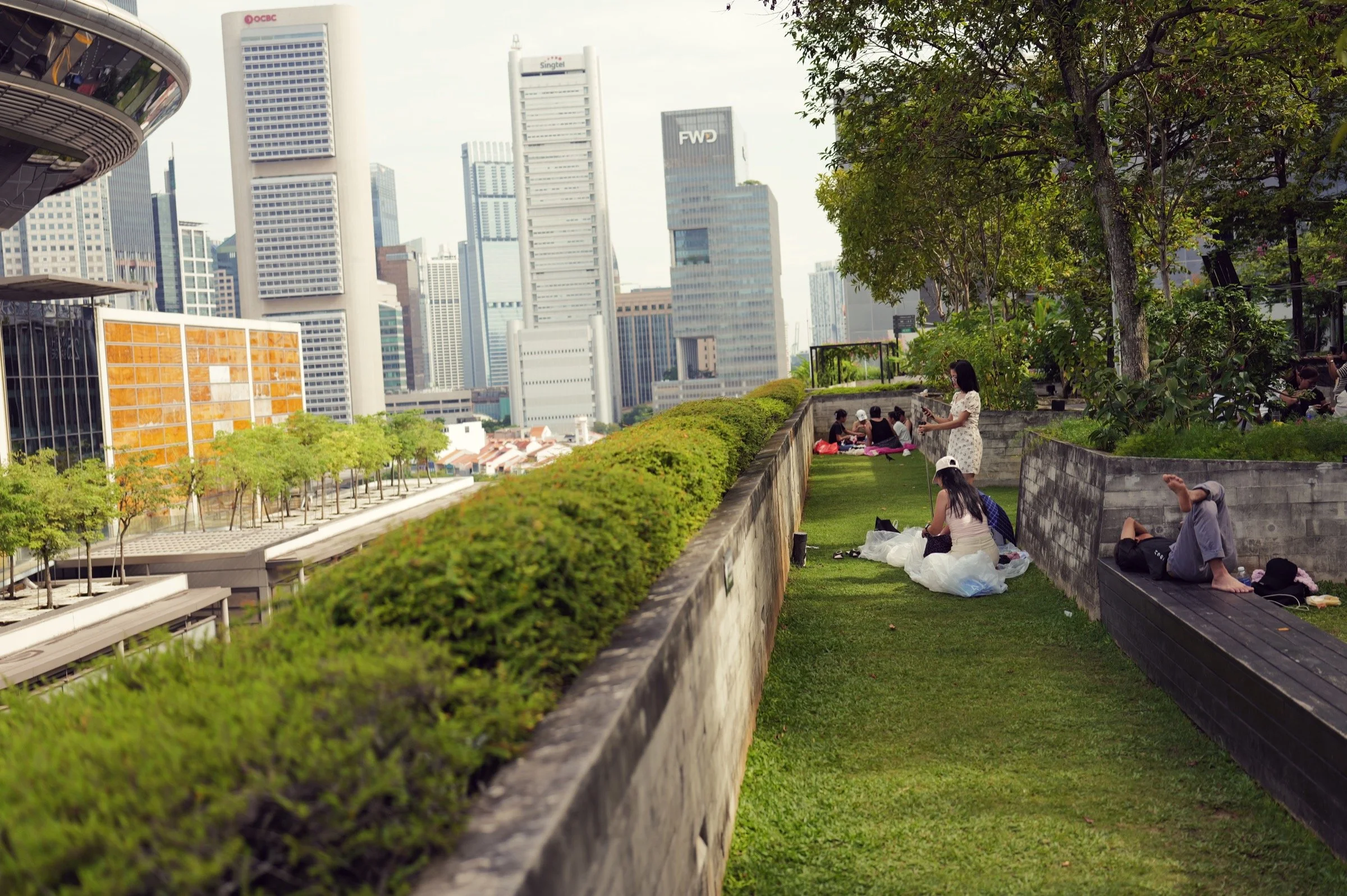 People sit on a grassy rooftop terrace beside hedges and a path, with city towers beyond.