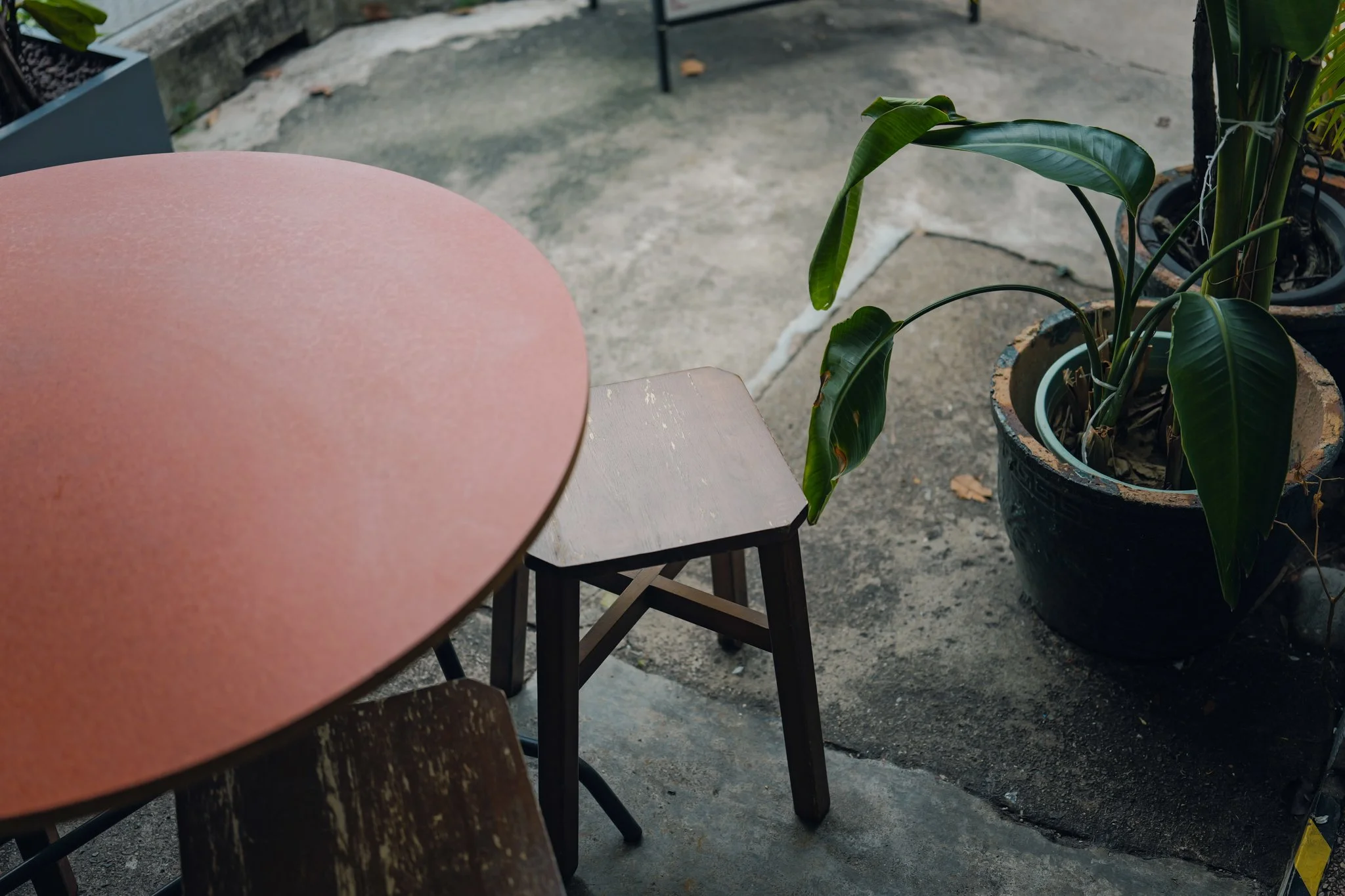 Tiong Bahru: Lines in the Sun