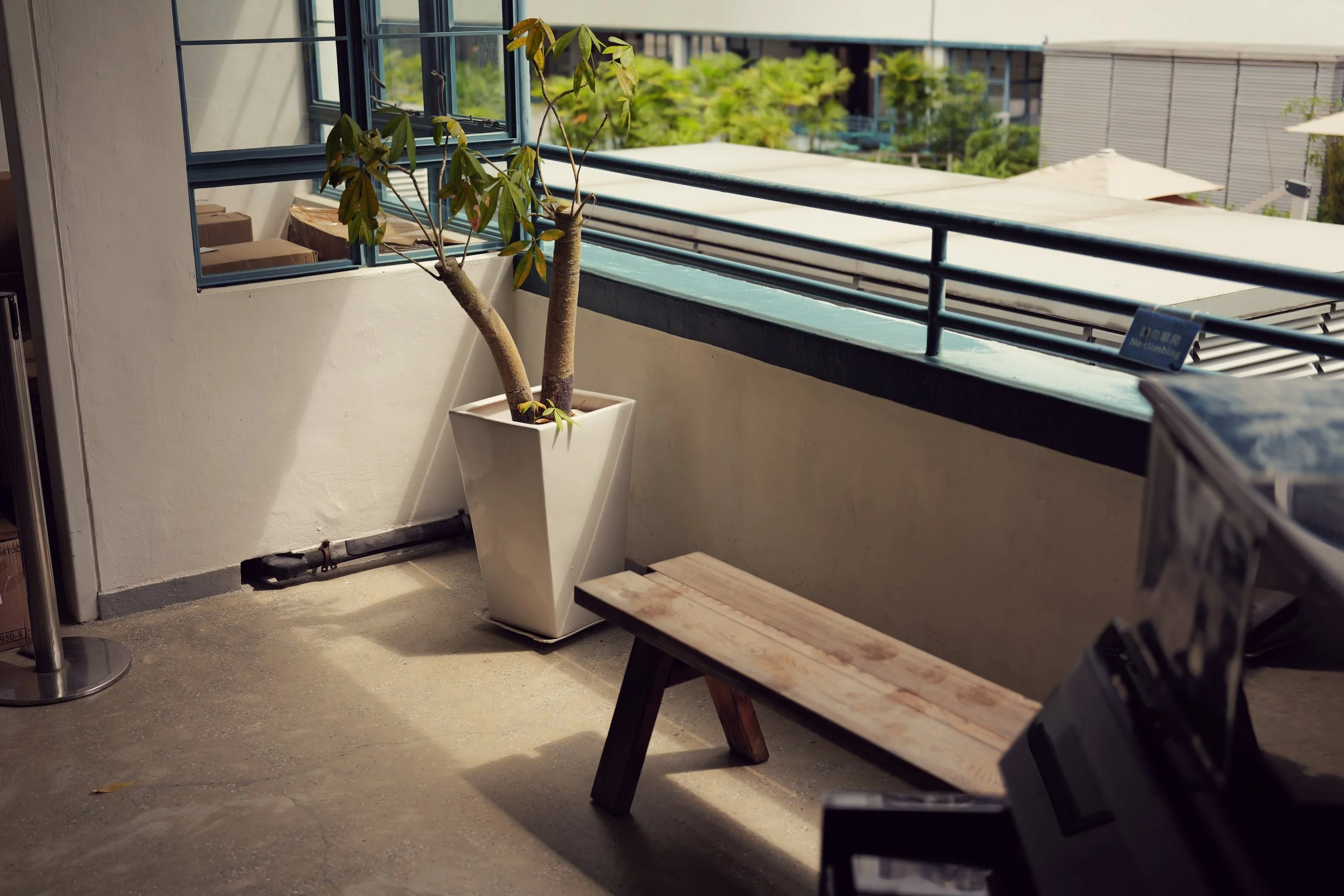 A balcony with a potted plant, a rustic wooden bench, and a large window with blue frames. Outside, there are trees and building rooftops, with a cloudy sky.