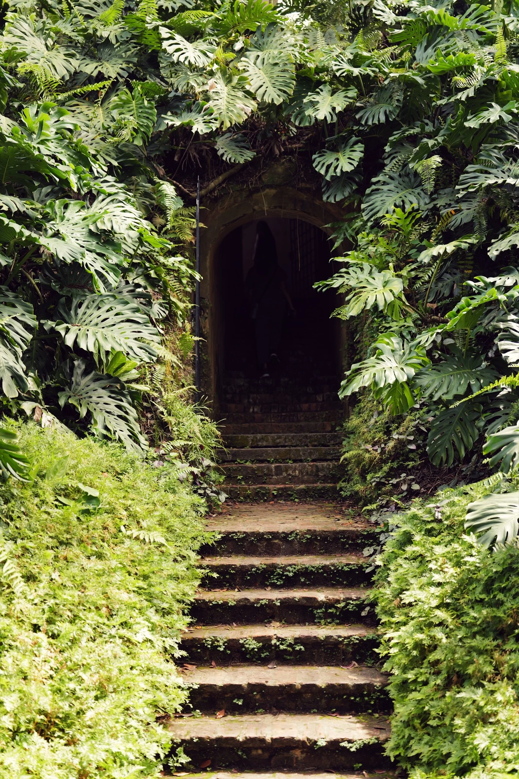Stone steps lead into a shaded opening surrounded by tropical foliage at Fort Canning Park, Singapore.