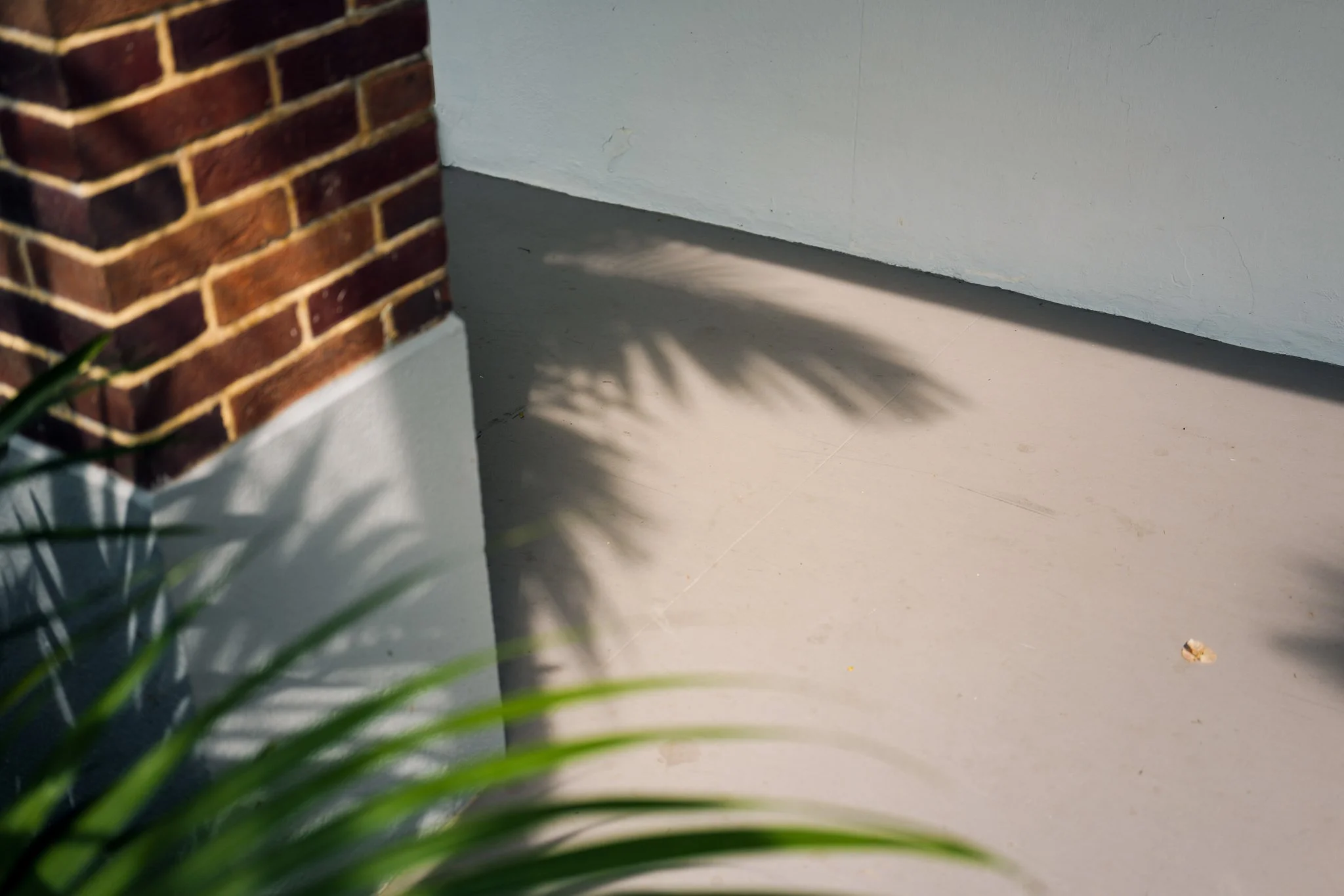 Leica Q3 43 Singapore_Tiong Bahru-32.jpg