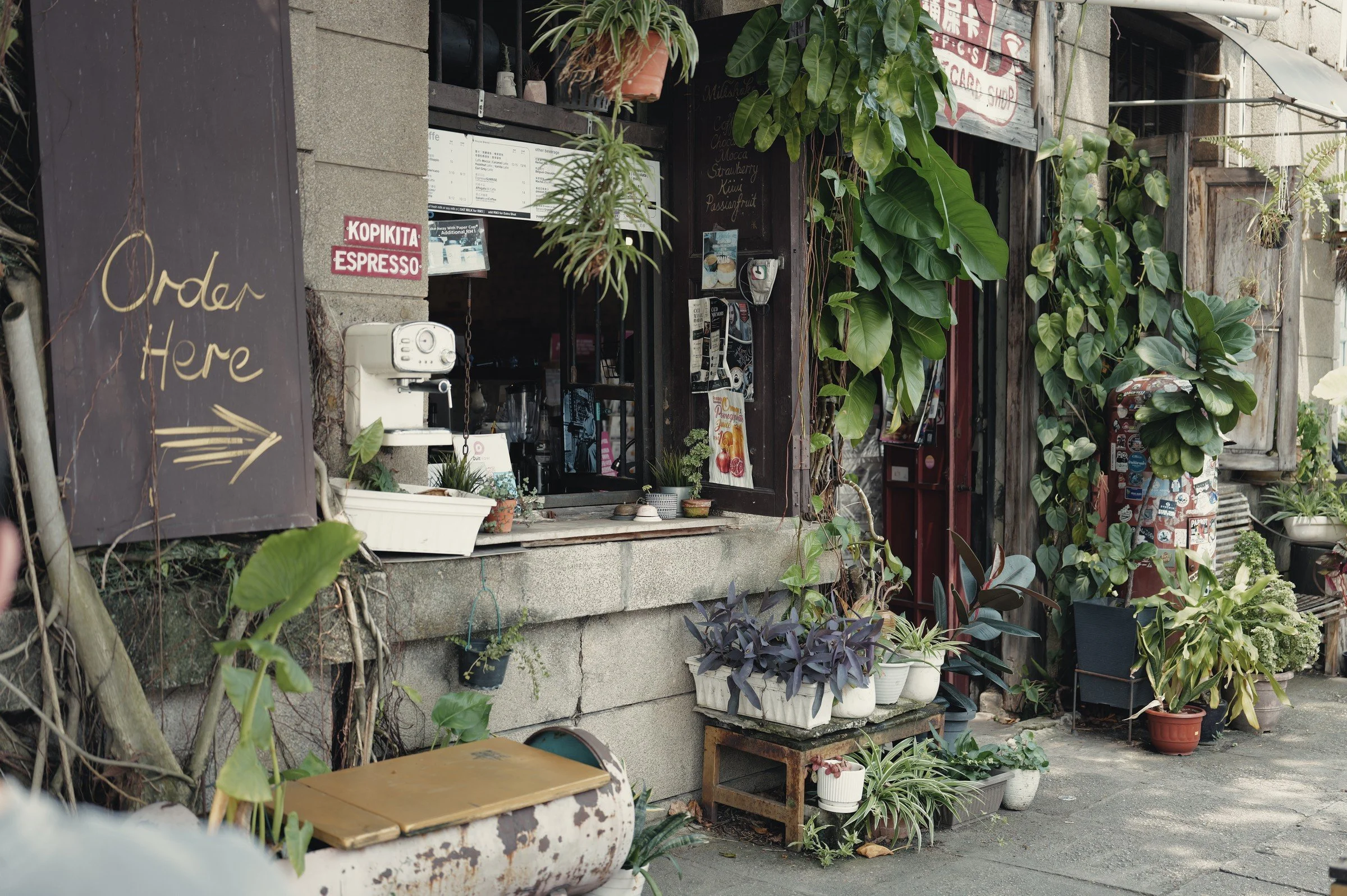 A small café counter framed by trailing plants, with a chalkboard pointing to the order window.