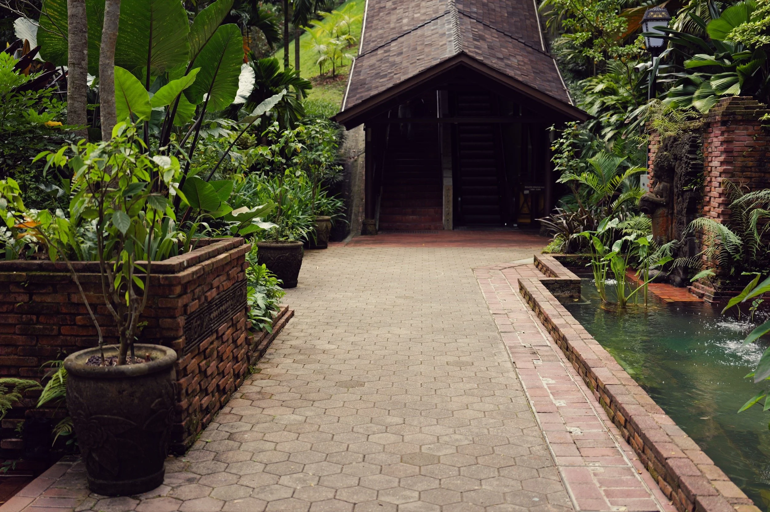 A paved garden path leads towards a shaded timber structure among tropical plants at Fort Canning Park.