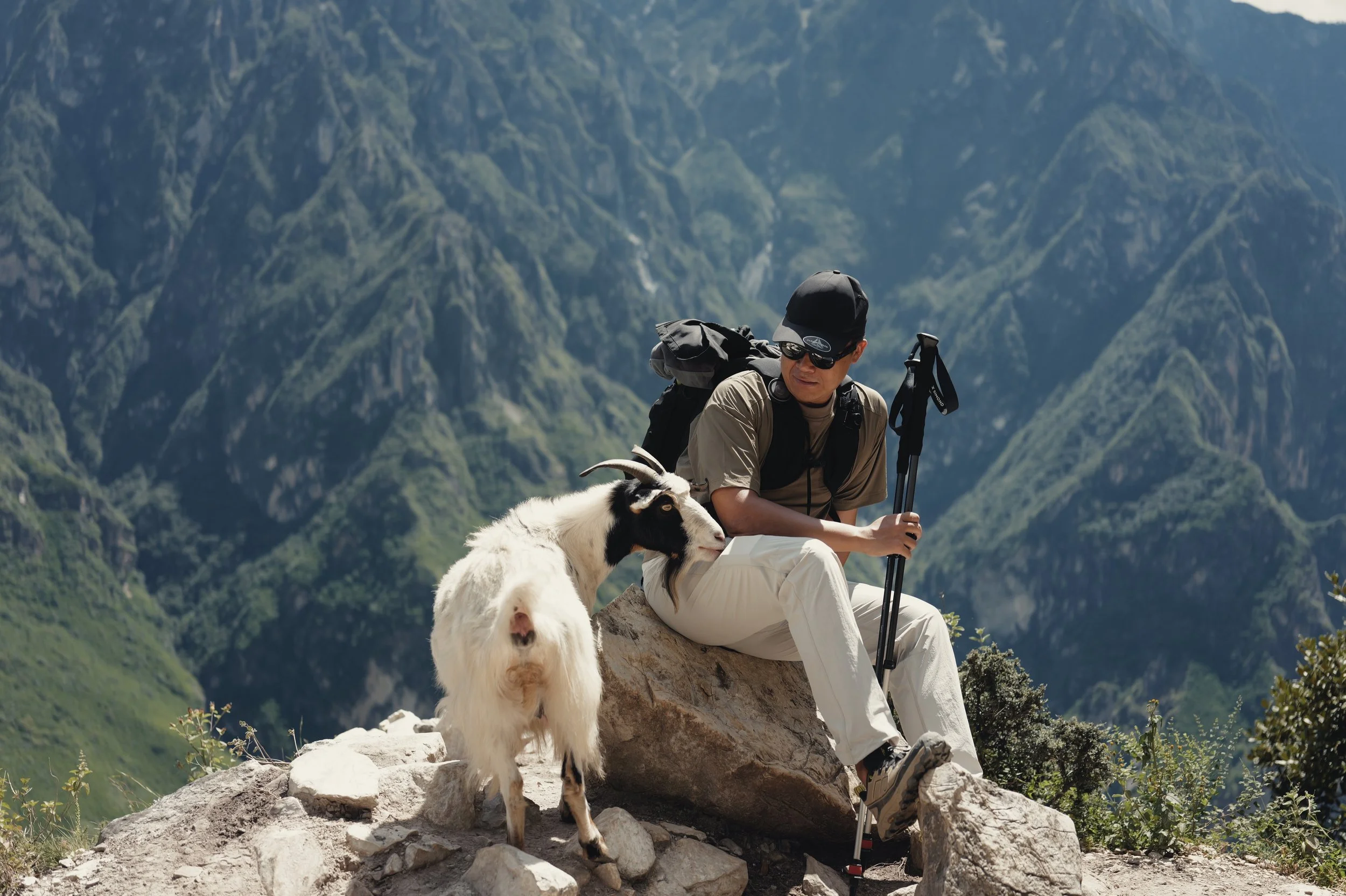 Hiker resting with a white goat above Tiger Leaping Gorge in Yunnan