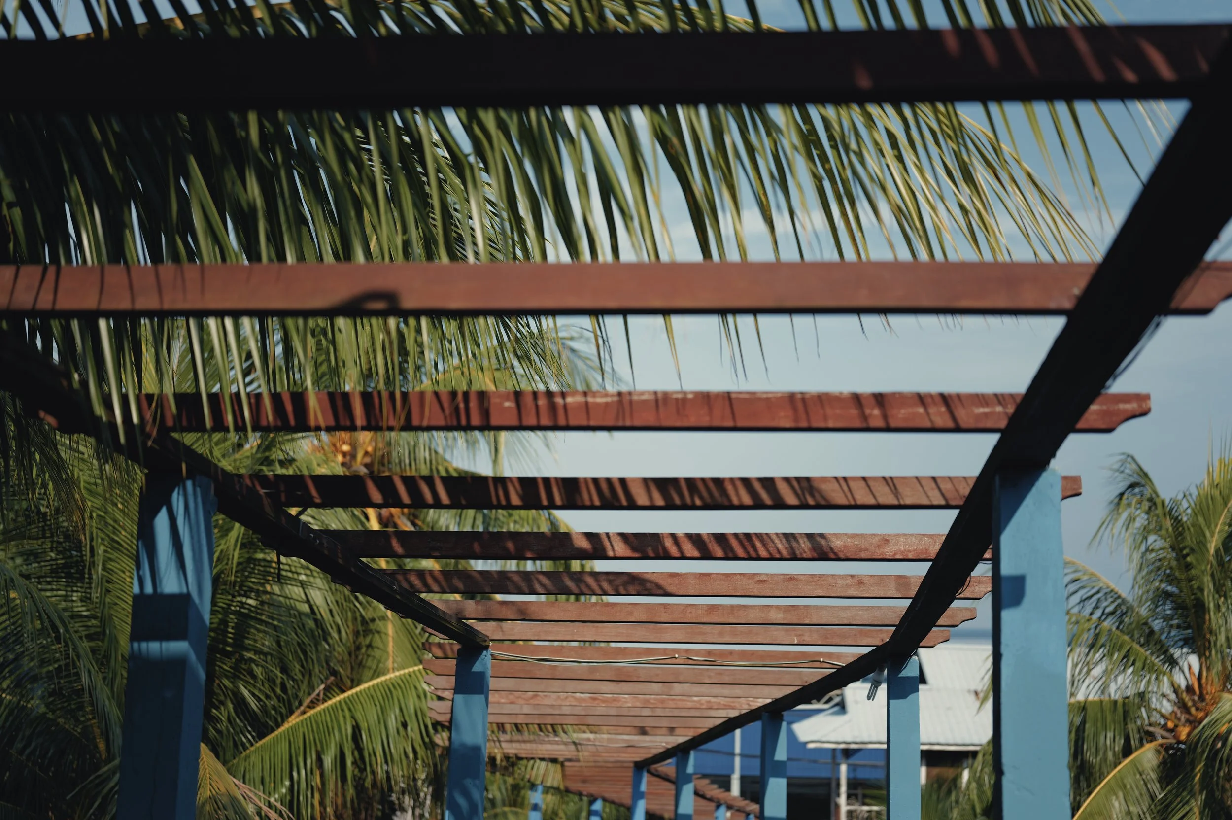 Wooden pergola with slats casting shadows, surrounded by palm trees against a clear blue sky.