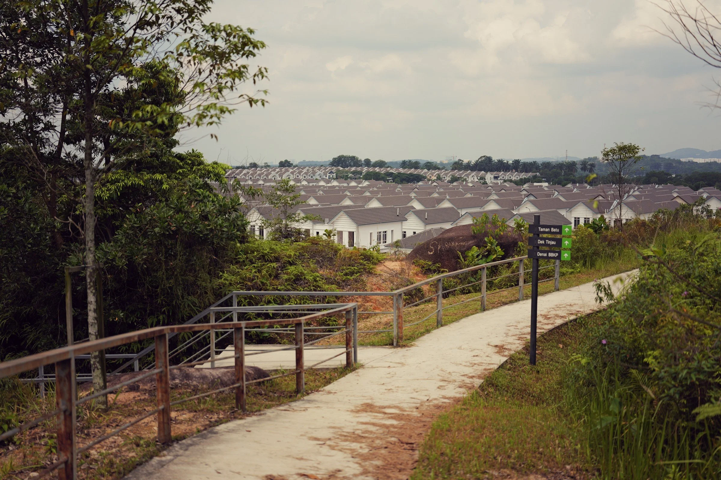 A paved hillside path and handrail overlook a neighbourhood beyond the trees.