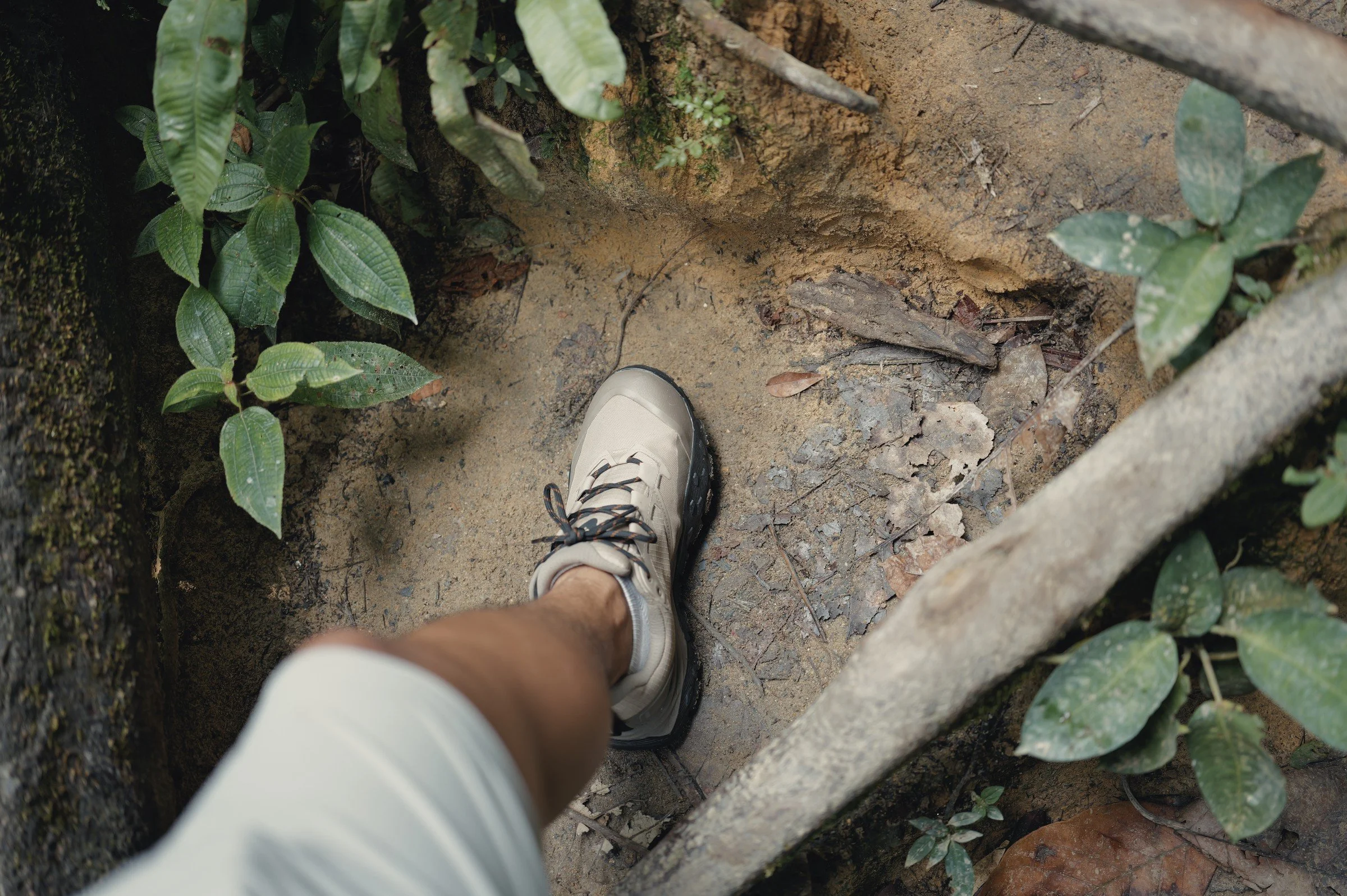 A hiking shoe steps between roots on a narrow earthy trail.