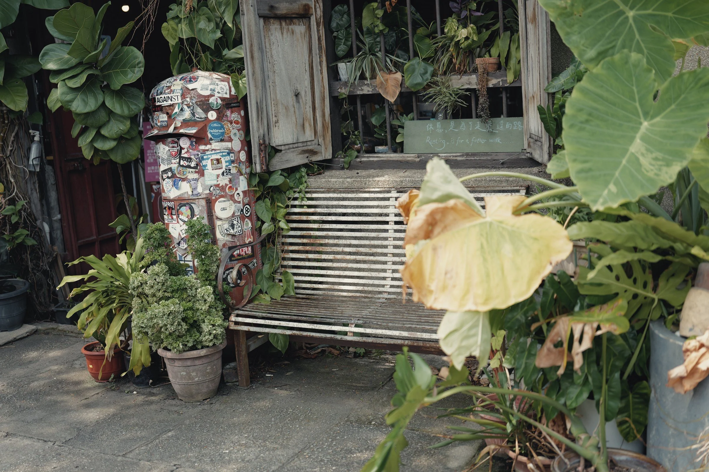 A weathered bench sits beneath large green leaves outside a plant-filled entrance.