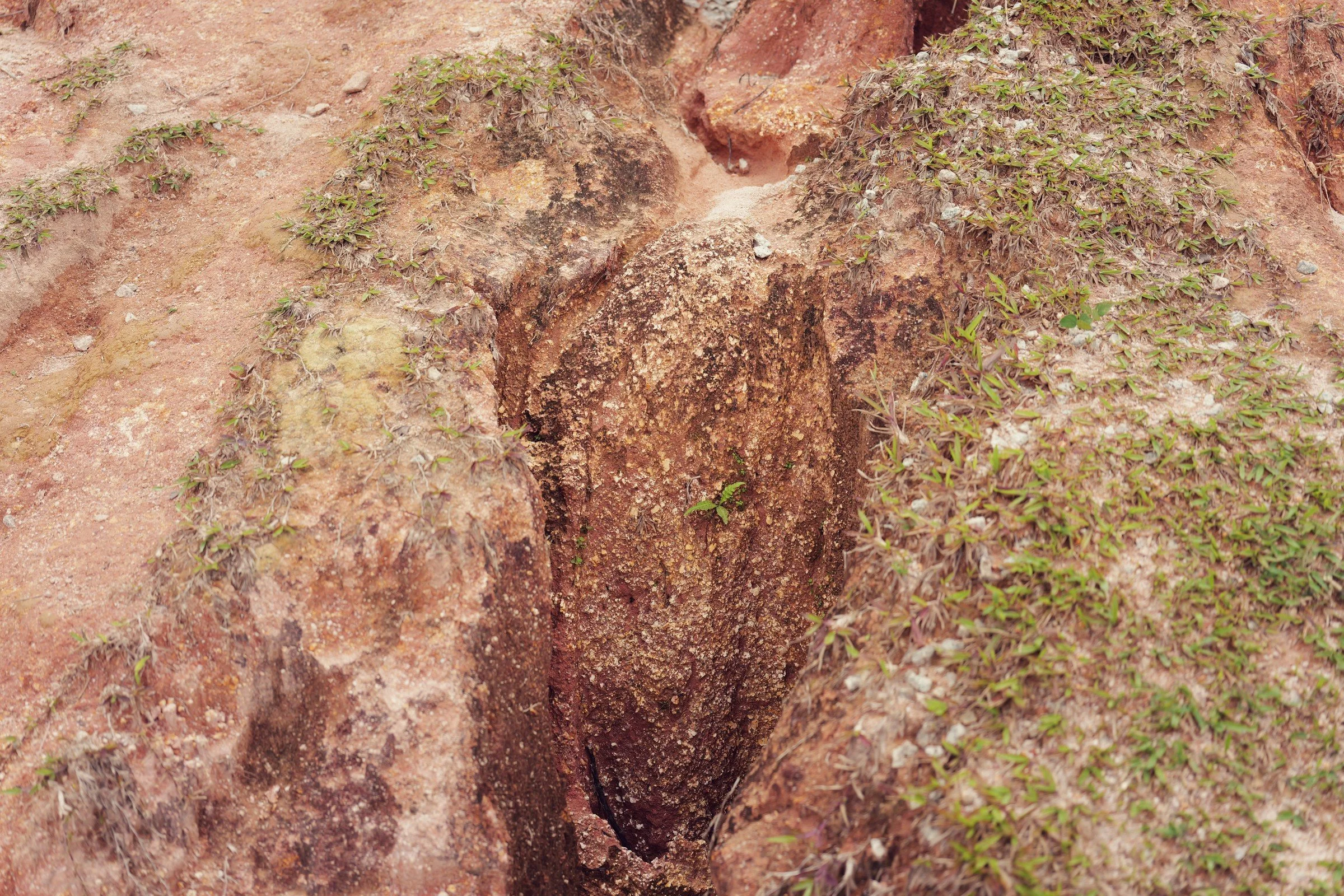 A deep eroded channel cuts through ochre rock dotted with tiny green plants.
