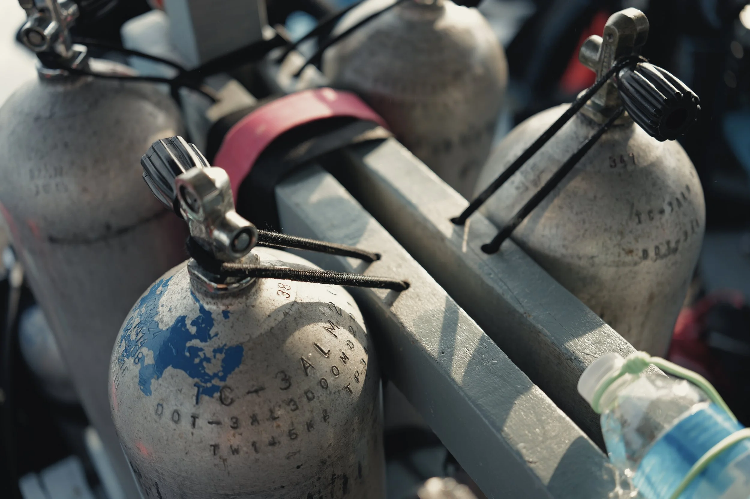 Close-up of multiple medical oxygen tanks with black valves and a worn white surface, one with a pink strap around it, connected by black hoses.