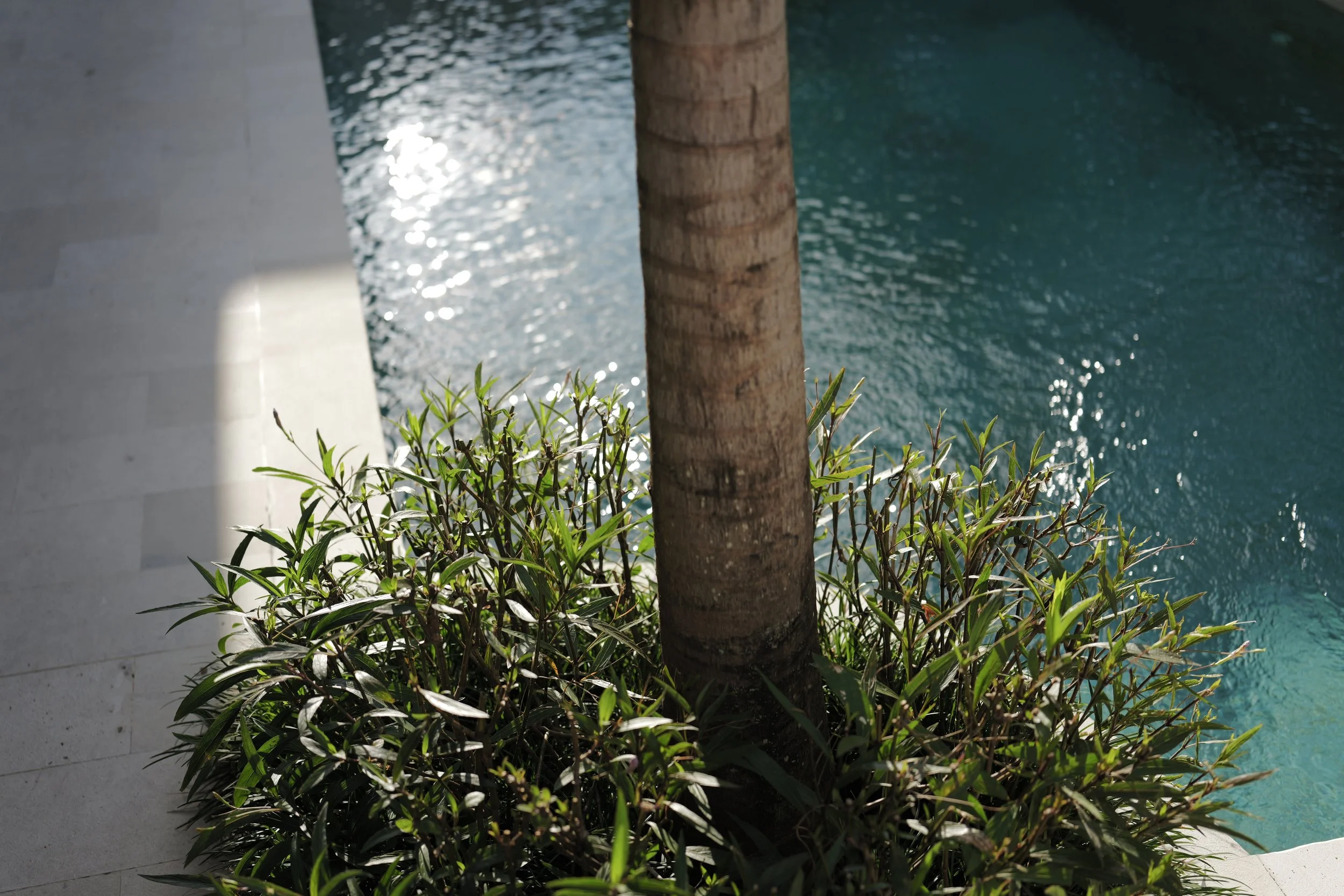 L1030176.JPG