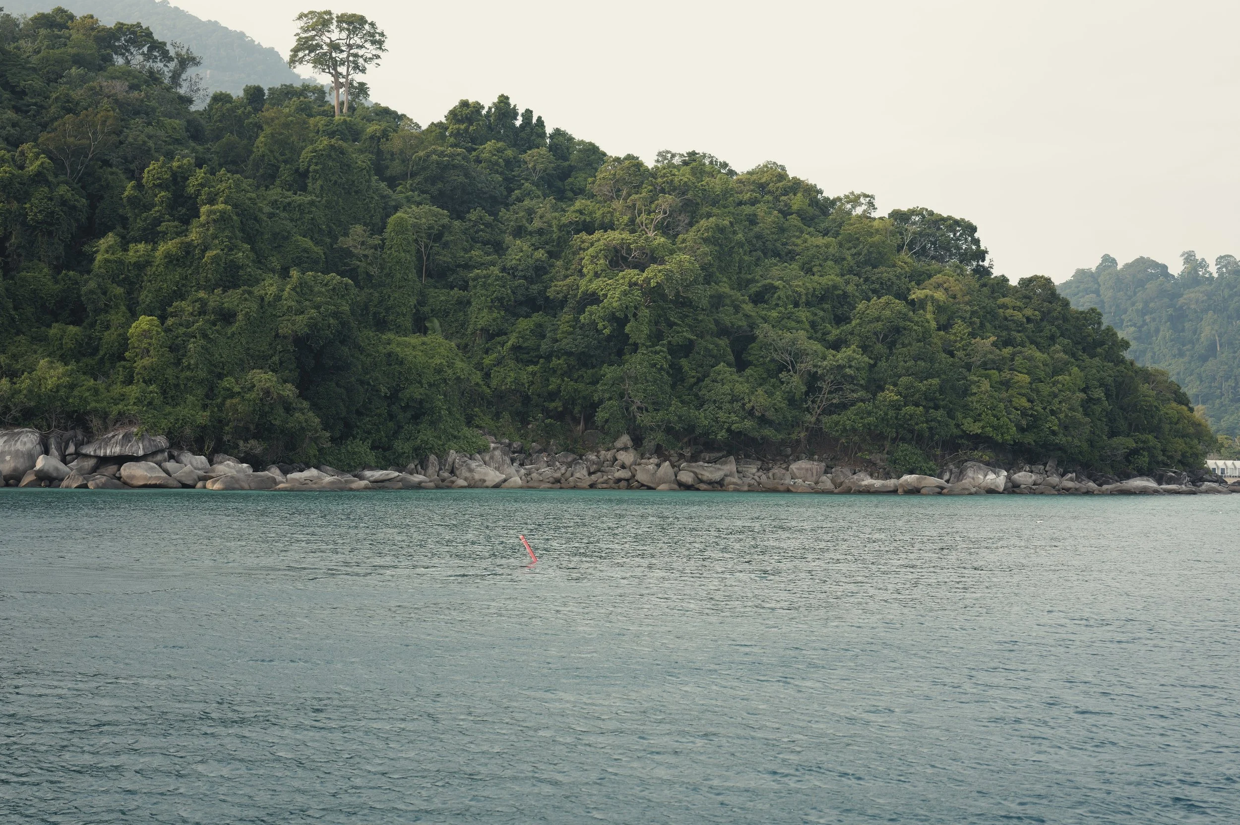 A calm body of water with a rocky shoreline topped by dense green forest and tall trees, under an overcast sky.