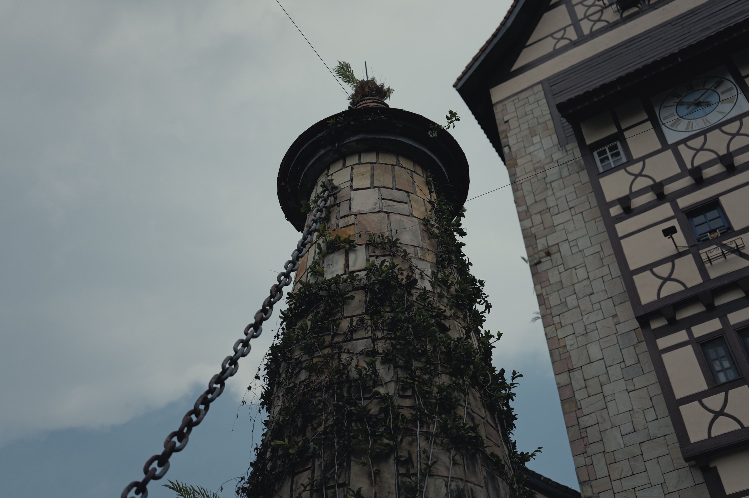 Ivy climbs a stone tower seen from below against the sky.