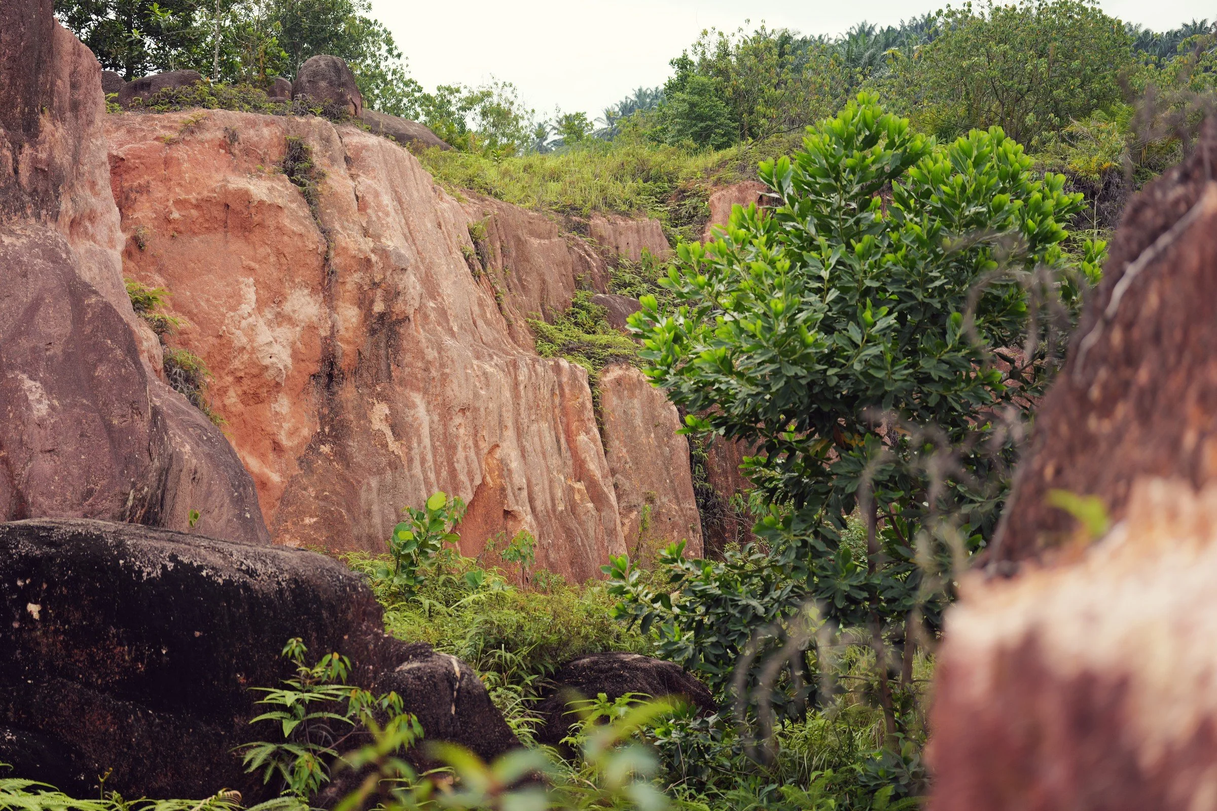 Red rock faces rise among green shrubs beside the trail.