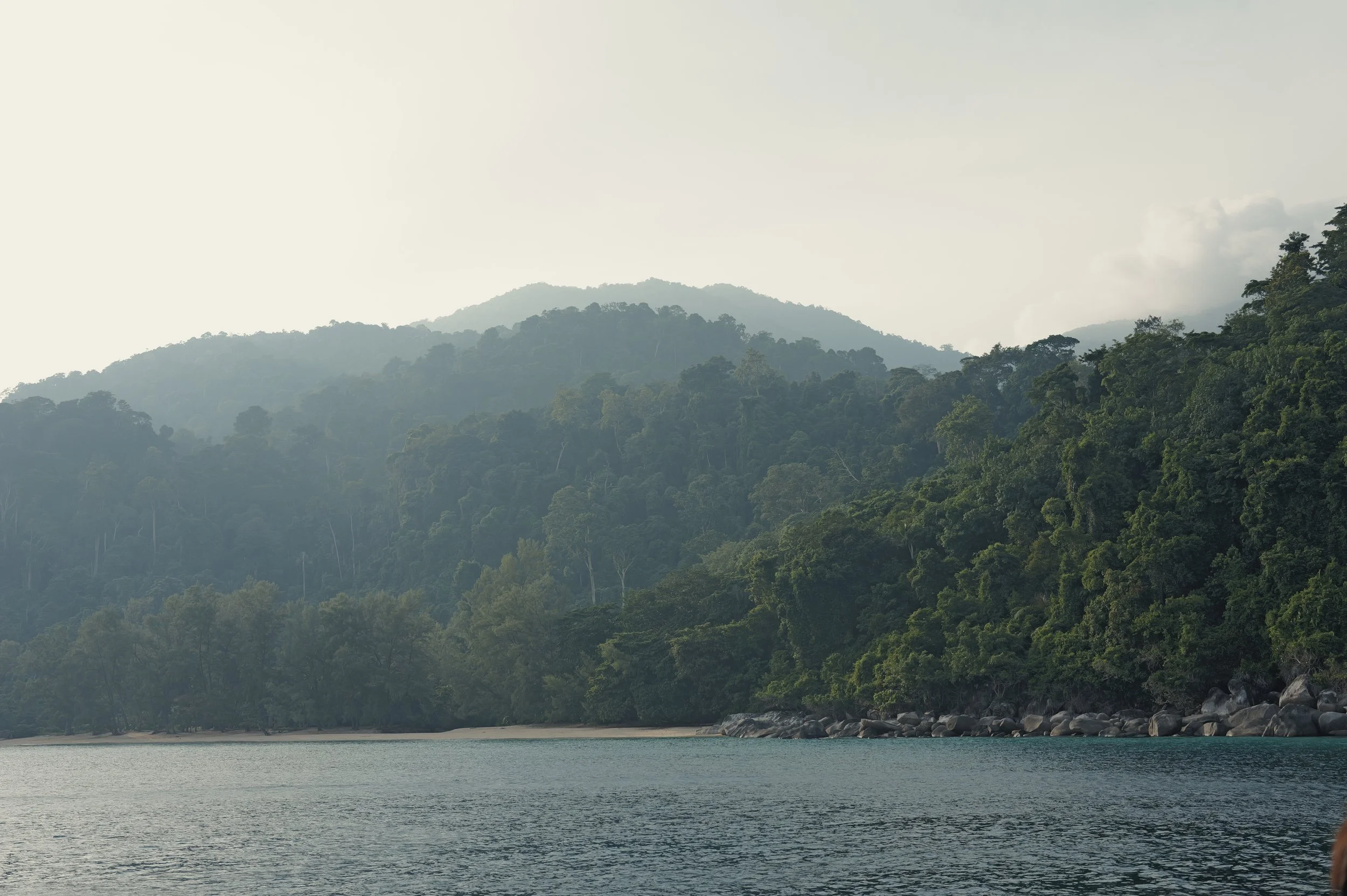 A landscape of lush green trees covering hills and mountains with a body of water in the foreground under a clear sky.
