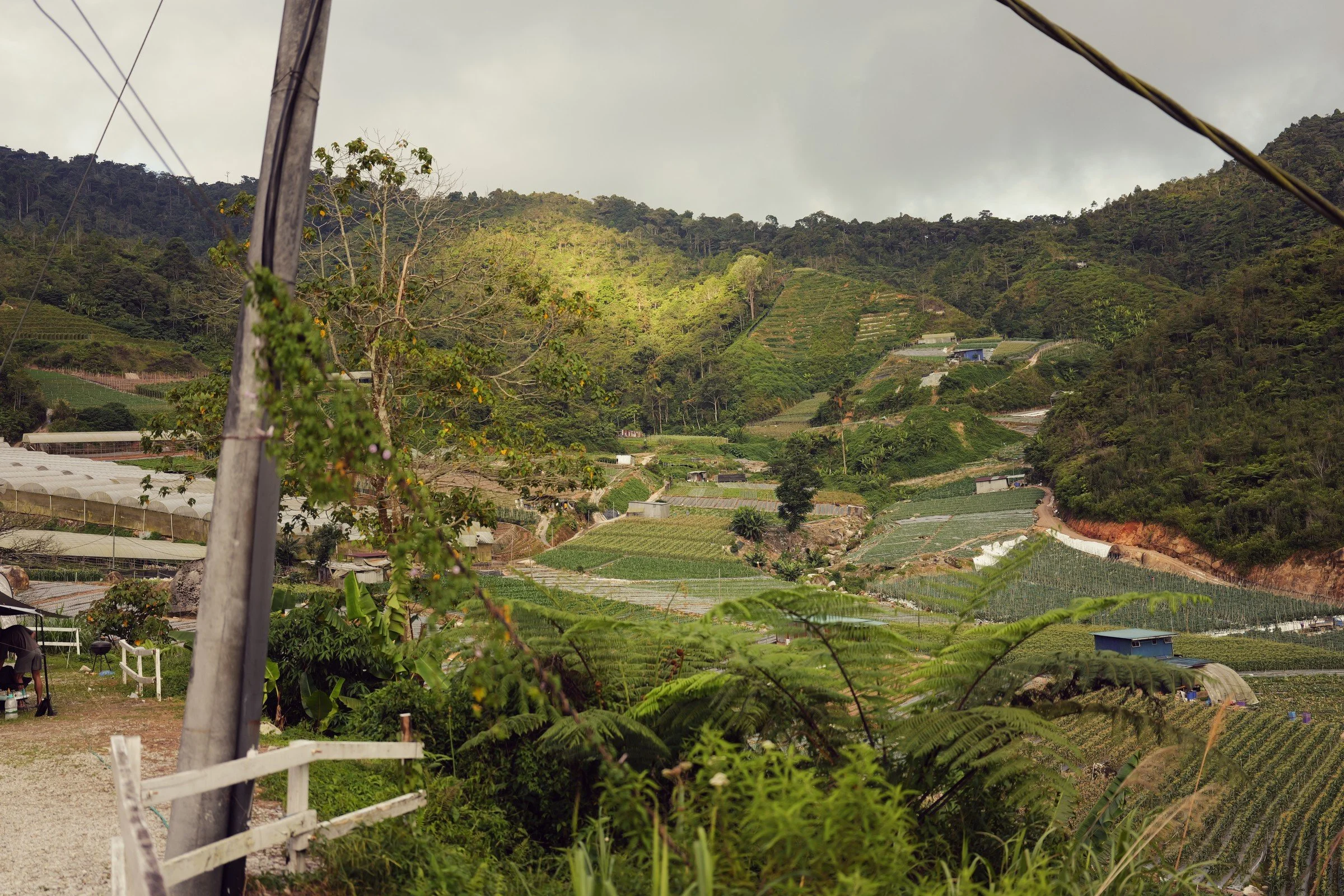 Sunlight breaks across green cultivated hills beyond a campsite.
