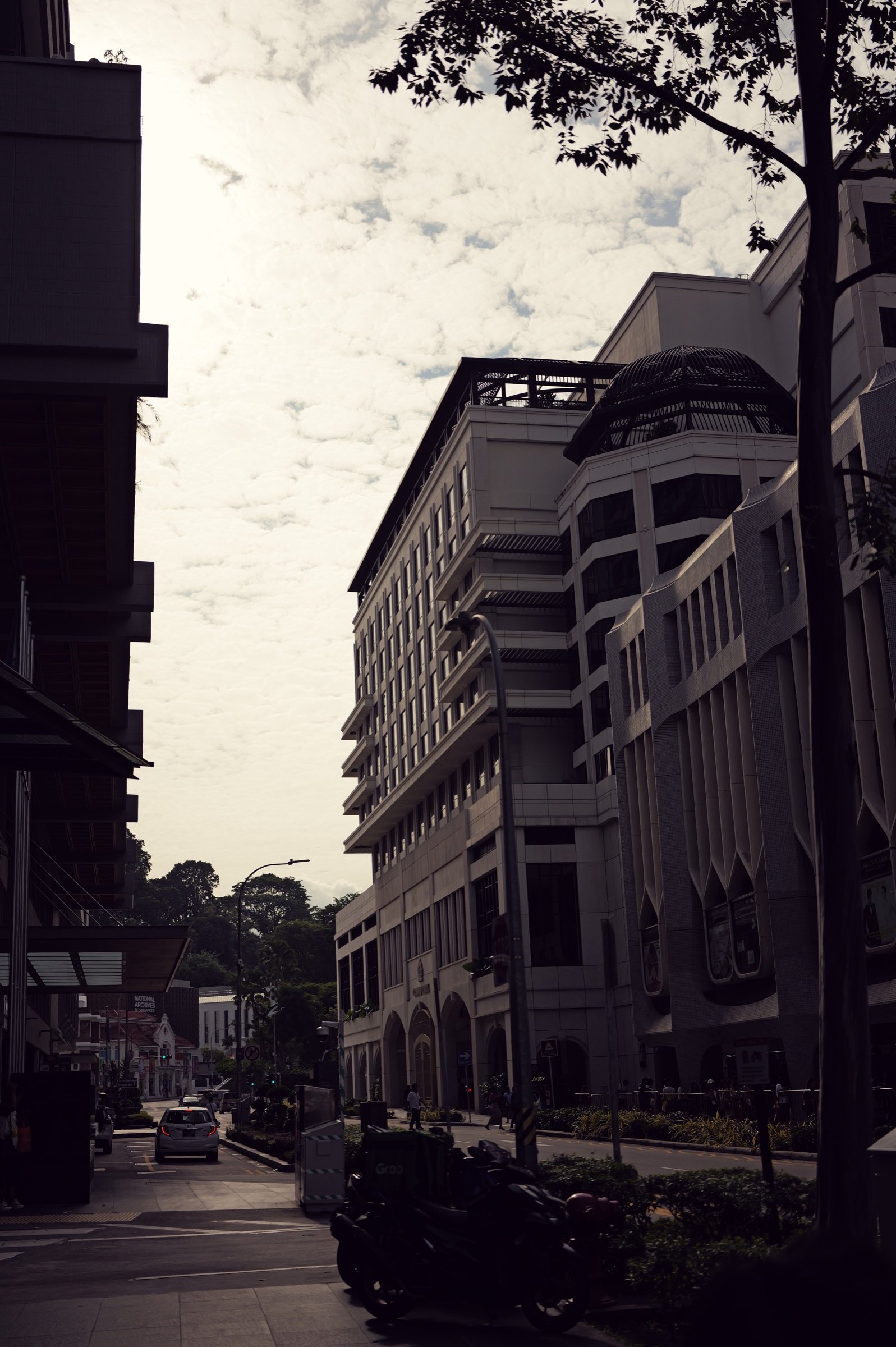 A quiet city street runs between shaded buildings beneath a bright sky, framed by overhead branches.