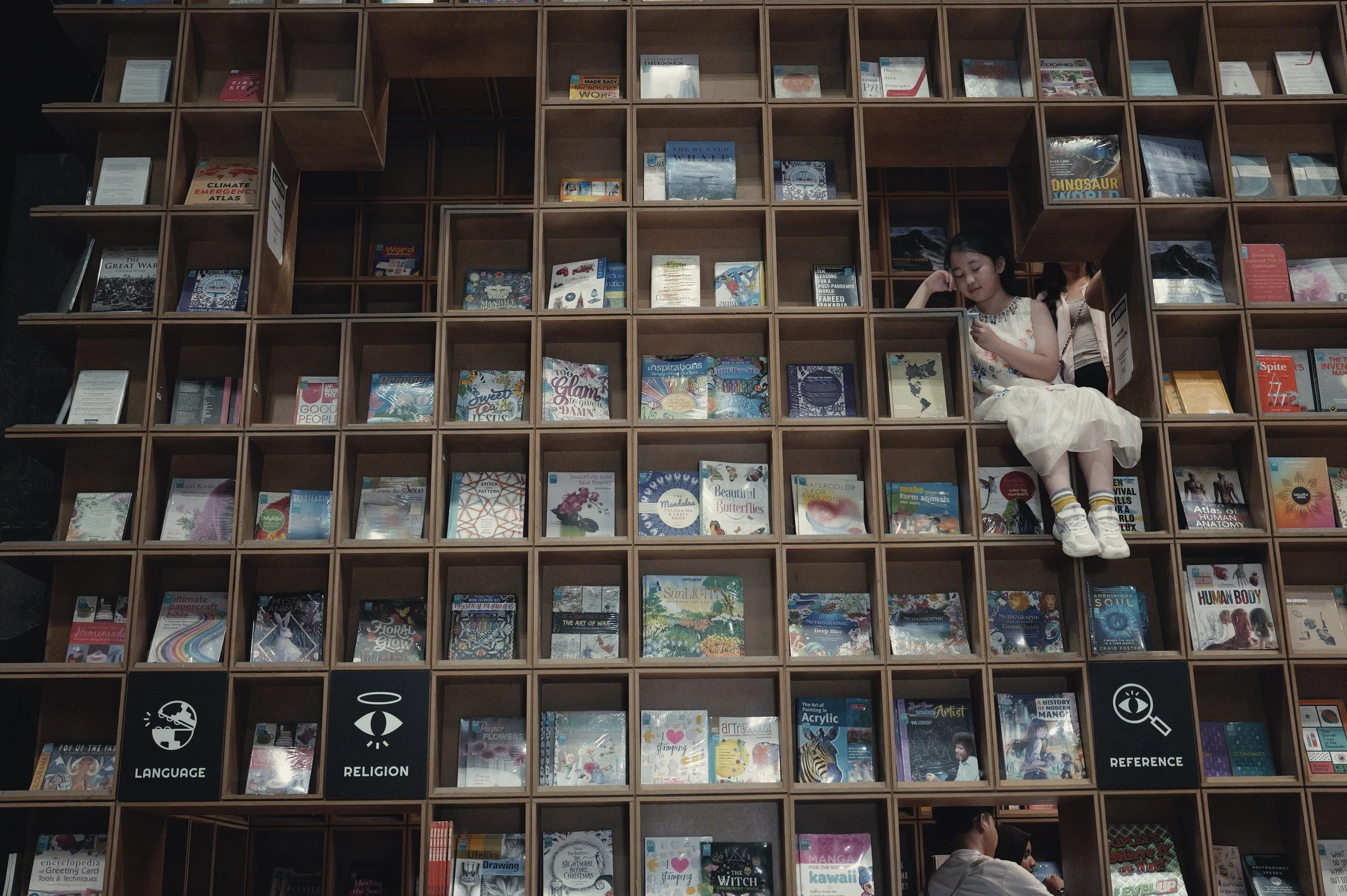 Visitors sit and browse among tall gridded bookshelves.