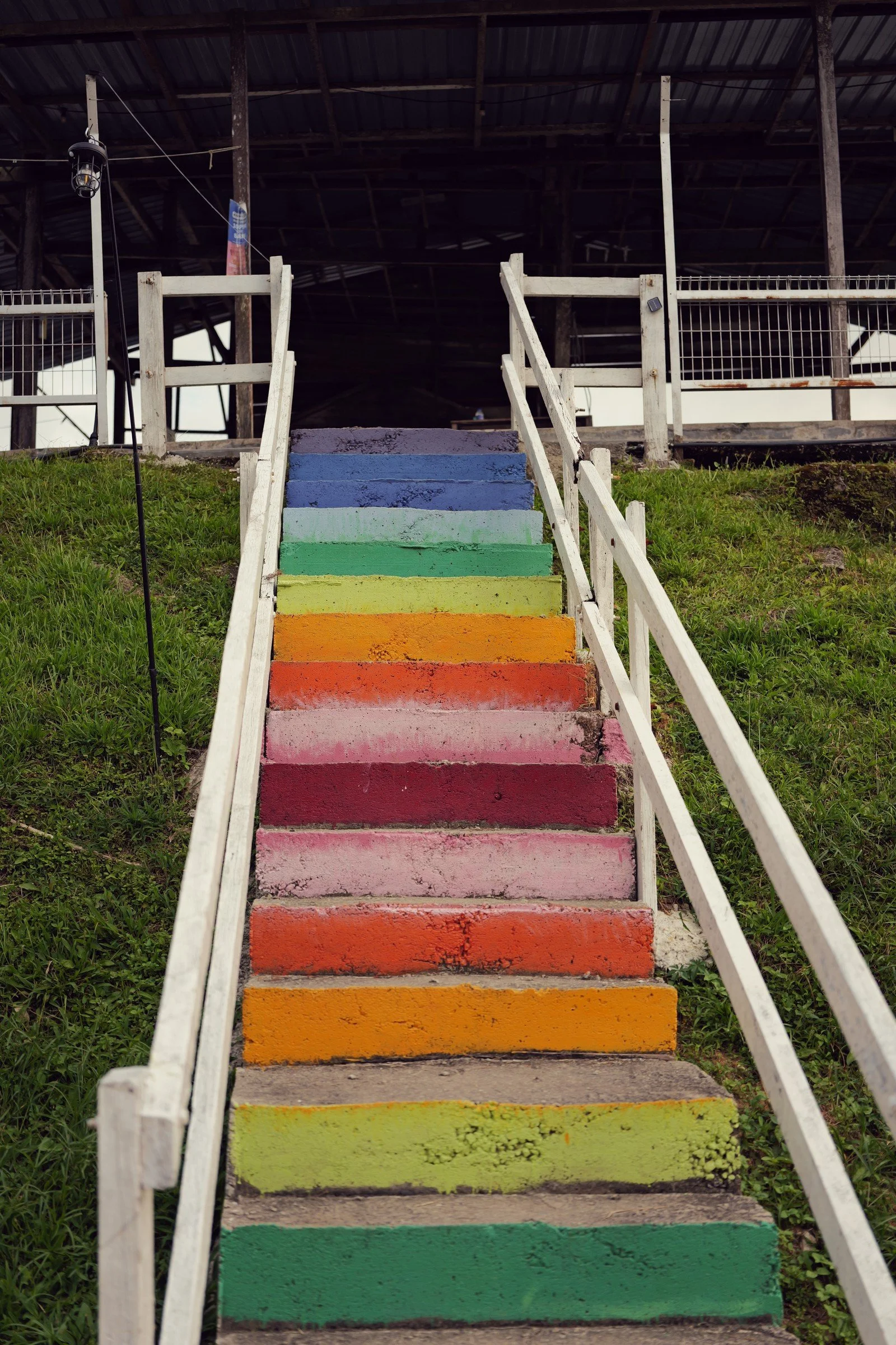 Rainbow-painted steps climb between white railings and green grass.