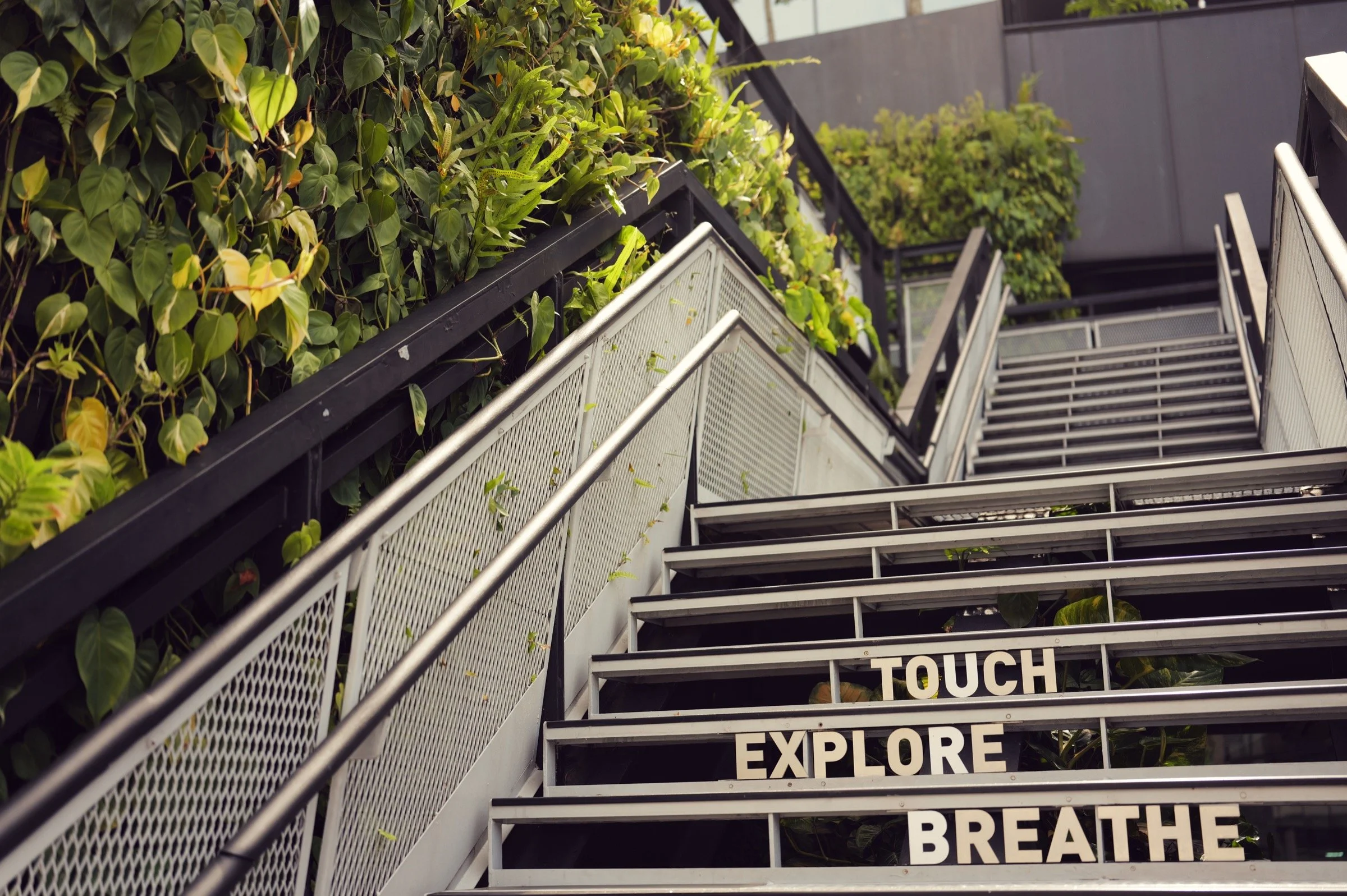 Metal steps with the words “Touch, Explore, Breathe” climb beside a planted wall on a city rooftop terrace in Singapore.