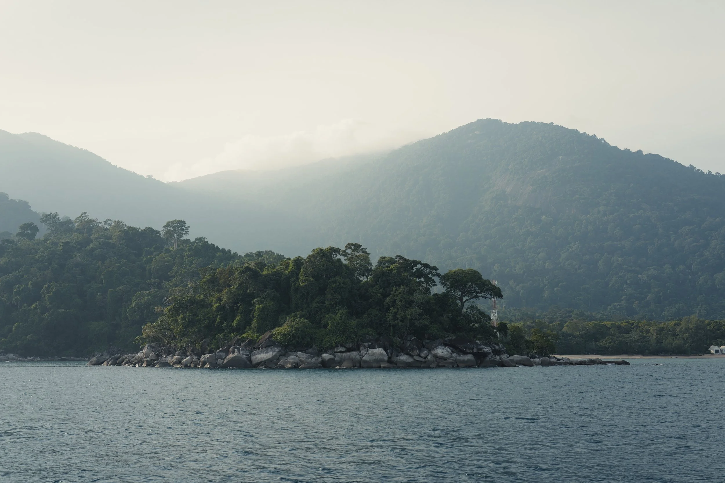 Body of water in the foreground with a shoreline lined with rocks, dense green trees beyond, and misty mountains covered in lush forest in the background.