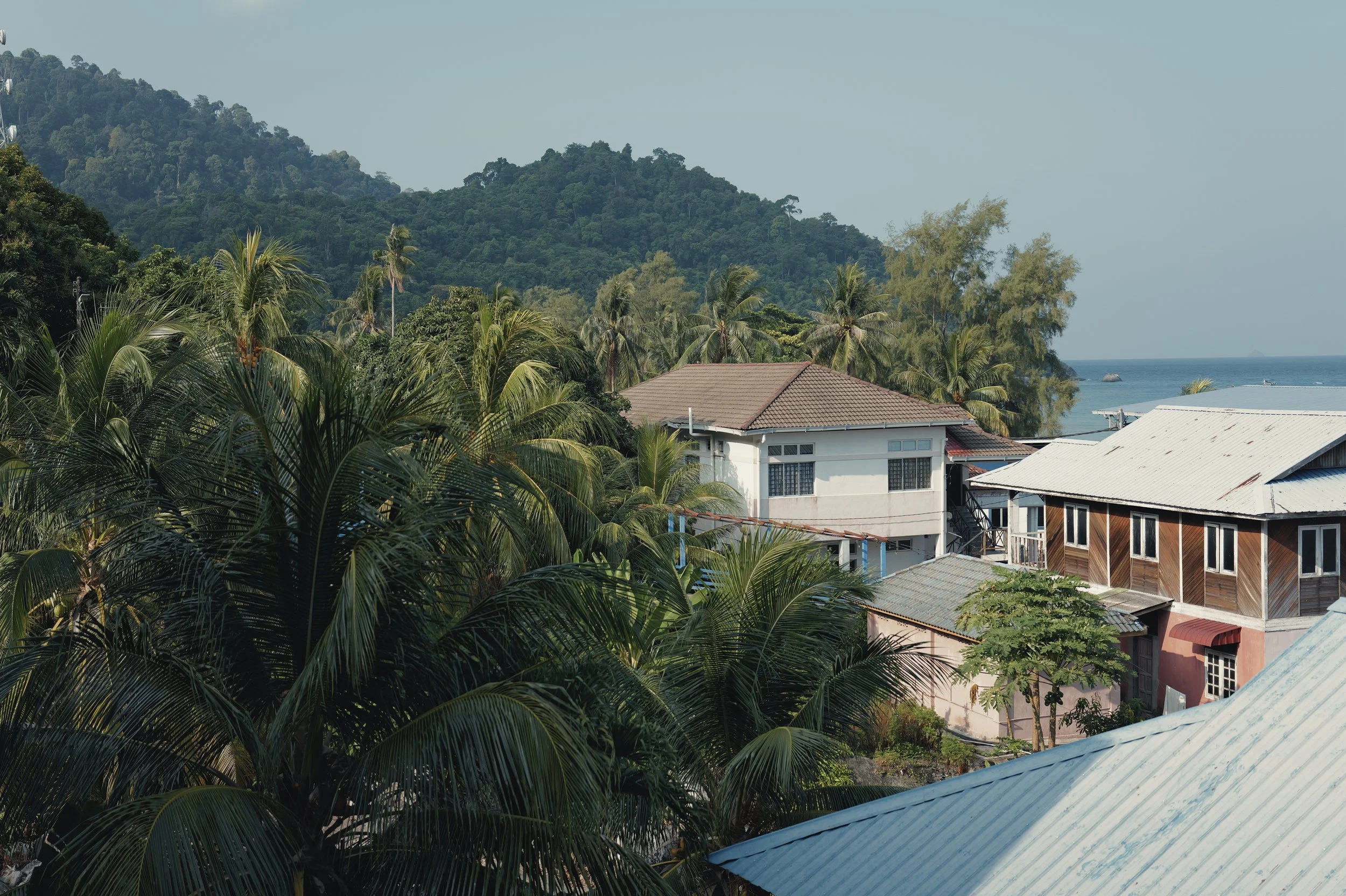 A tropical landscape with lush green palm trees and other dense vegetation, rooftops of houses visible in the foreground, a mountain covered in trees in the background, and the ocean with a few rocks visible at the horizon under a clear sky.