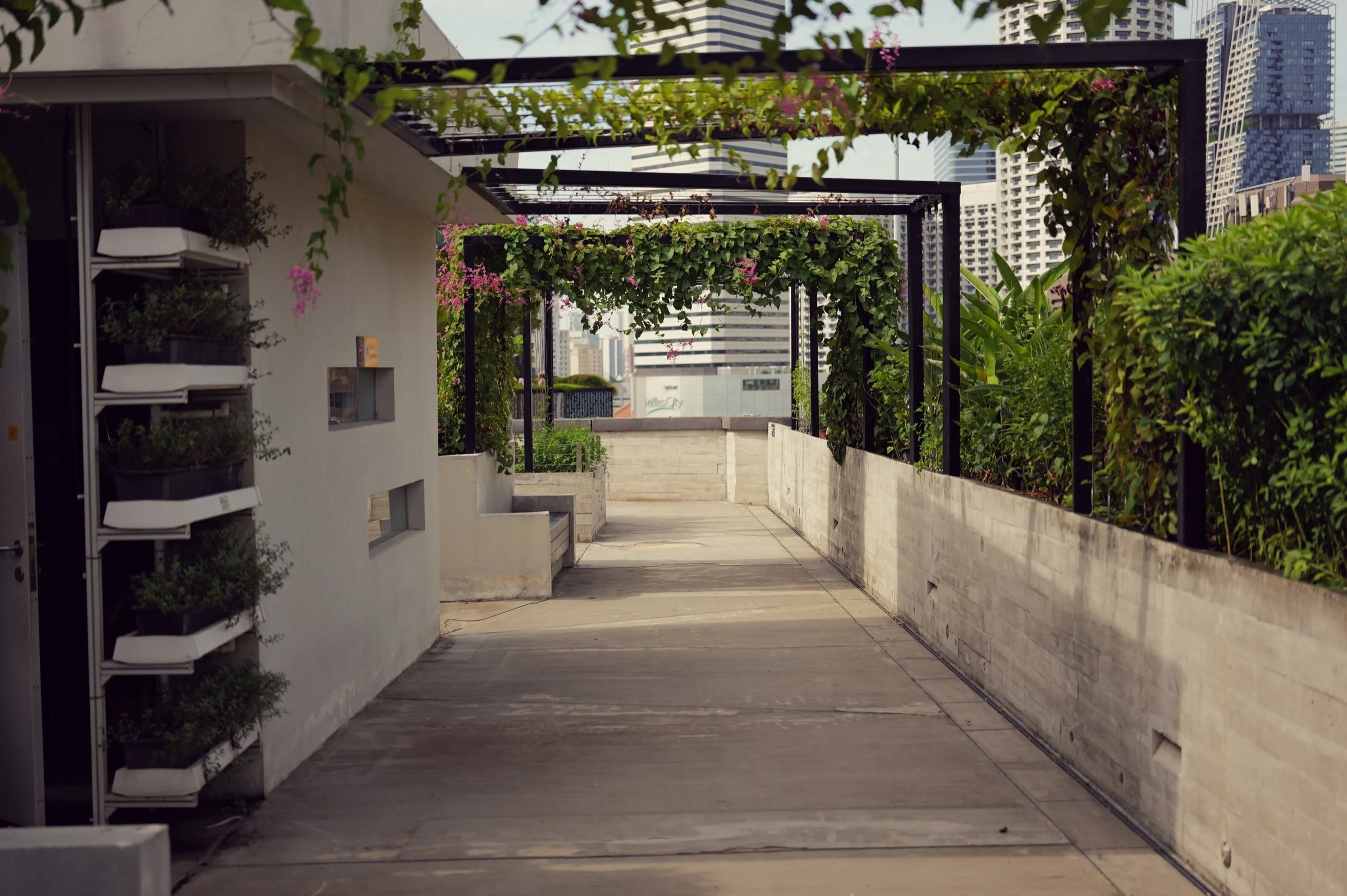 A concrete rooftop walkway passes planted walls beneath a series of dark rectangular pergola frames.