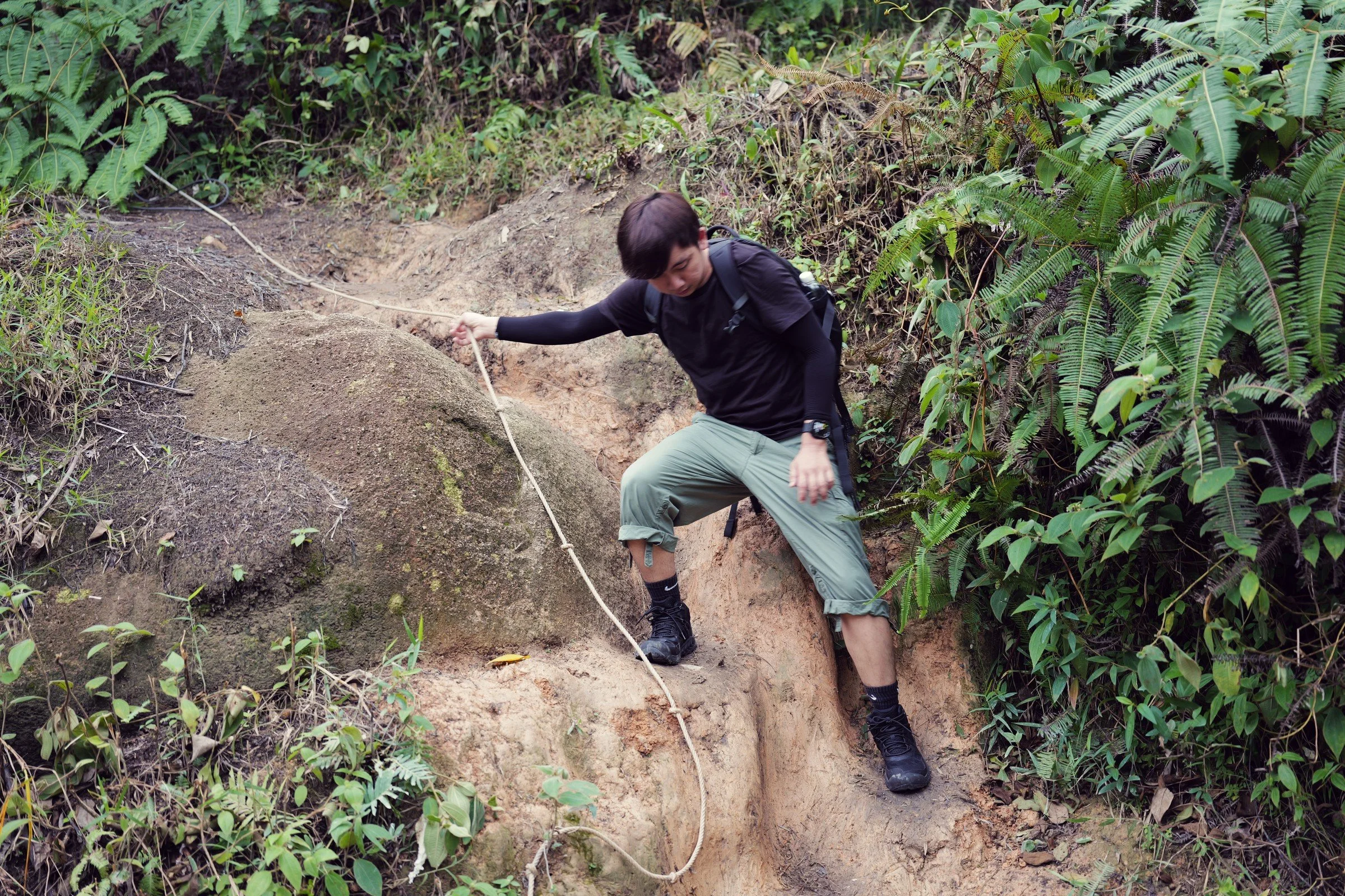 A hiker uses a rope to descend a steep rocky section of the woodland trail.