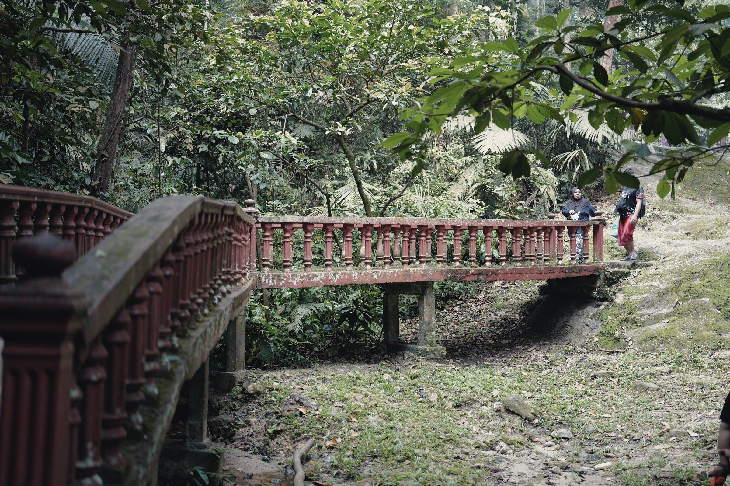 A red-railed footbridge curves through dense green woodland.