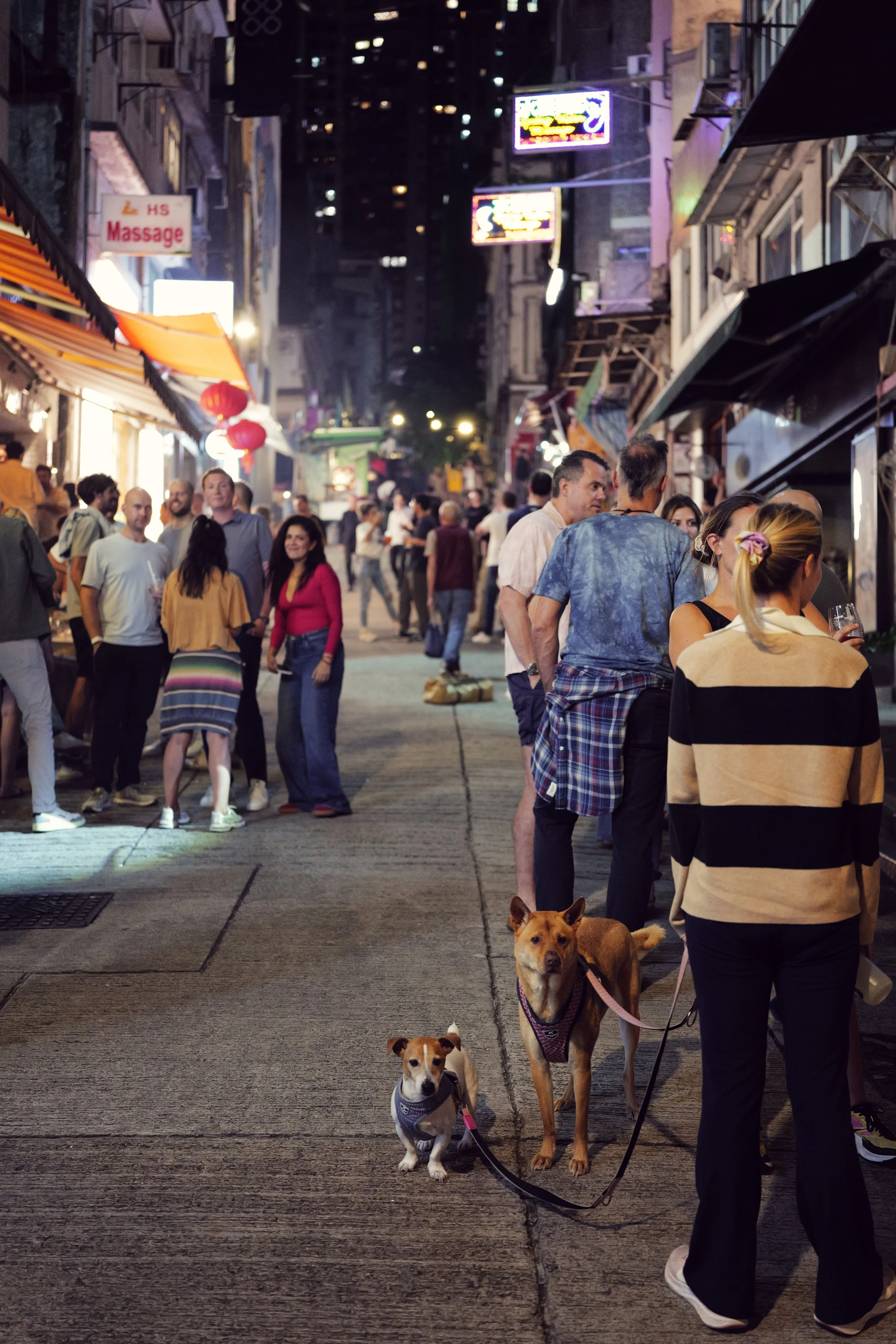Nighttime street scene with people walking, talking, and dogs on leashes, illuminated signs, storefronts, and buildings.