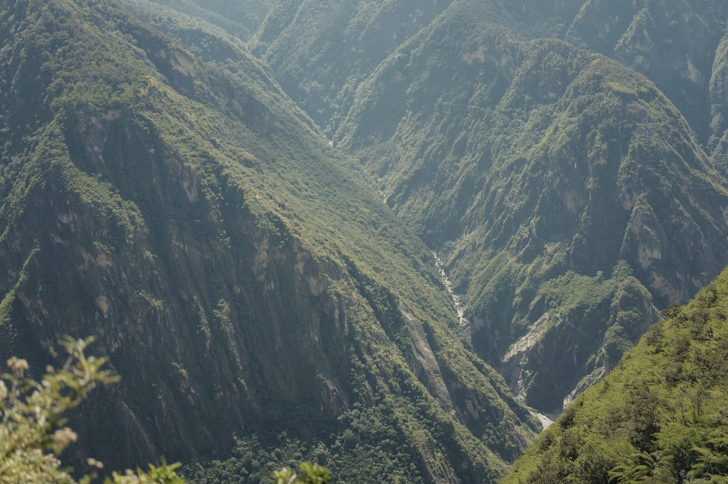 Deep green mountain ravine in Tiger Leaping Gorge, Yunnan