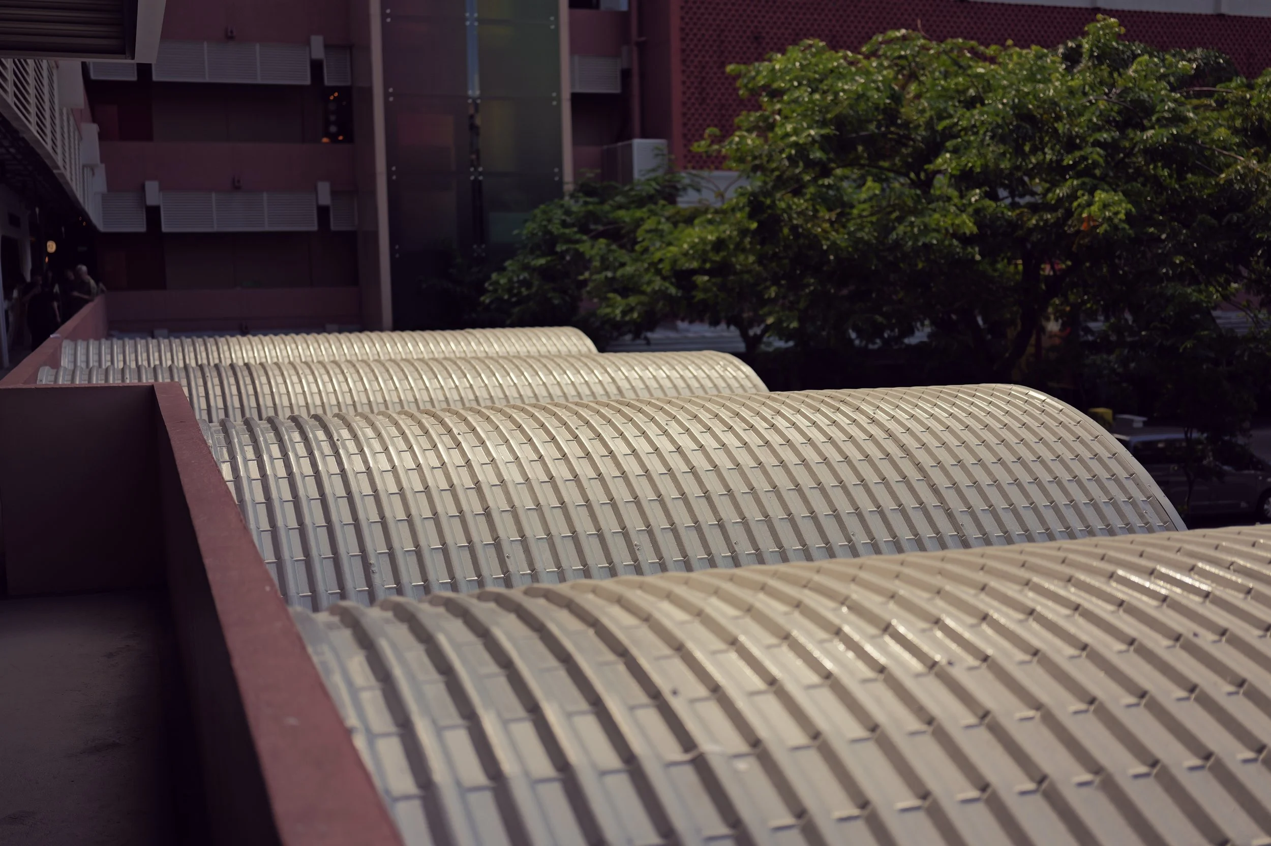 View of a rooftop with curved beige roofing tiles, a large green tree, and the exterior of a modern building with dark panels and metal railings in the background.