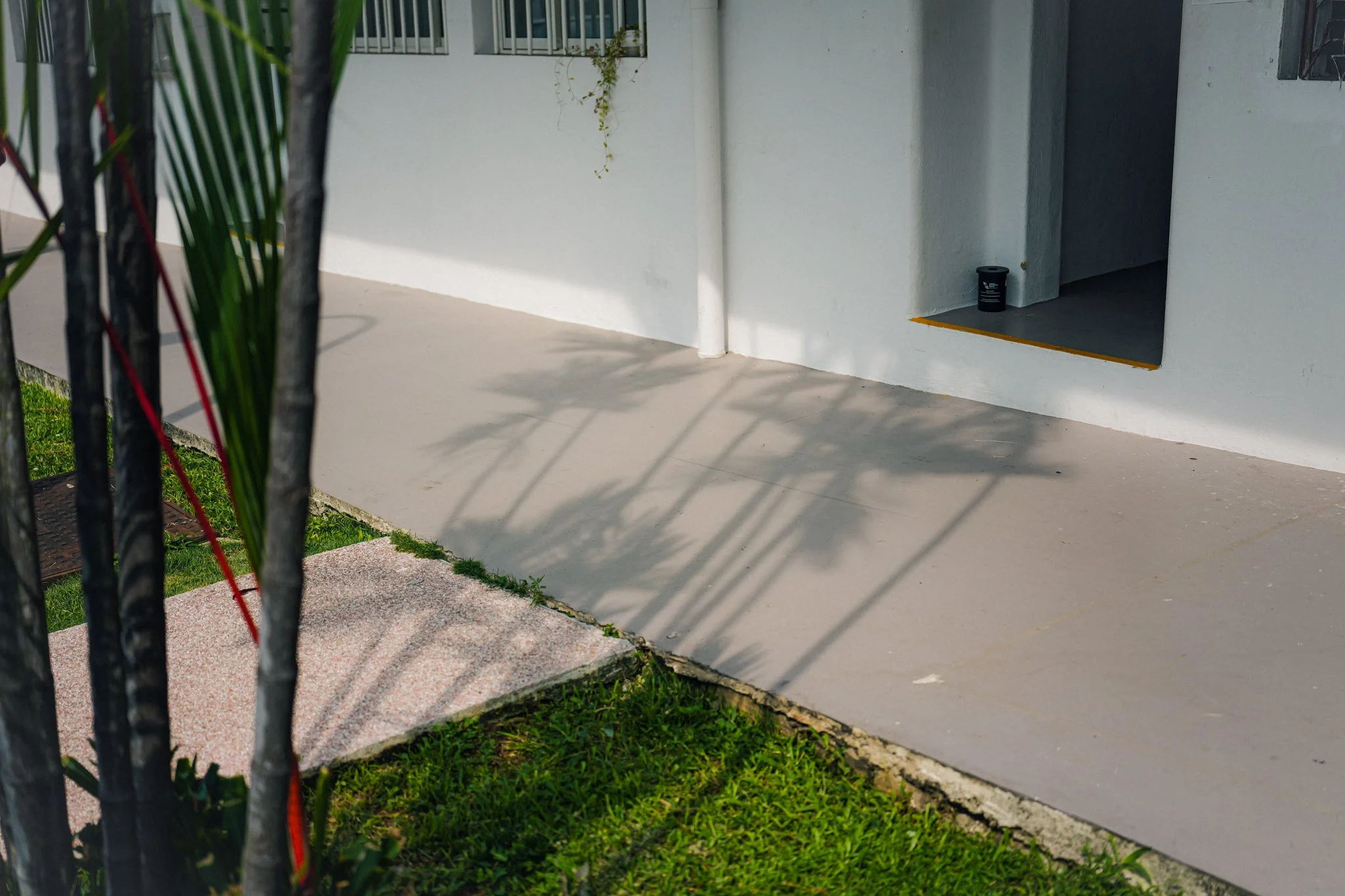 Leica Q3 43 Singapore_Tiong Bahru-34.jpg