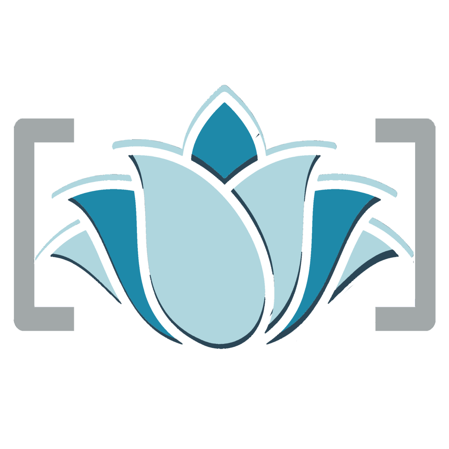 Universal Emergence Foundation